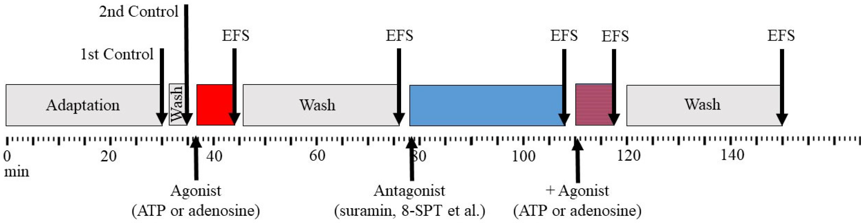 Cimb 45 00535 g001 Cimb 45 00535 g001