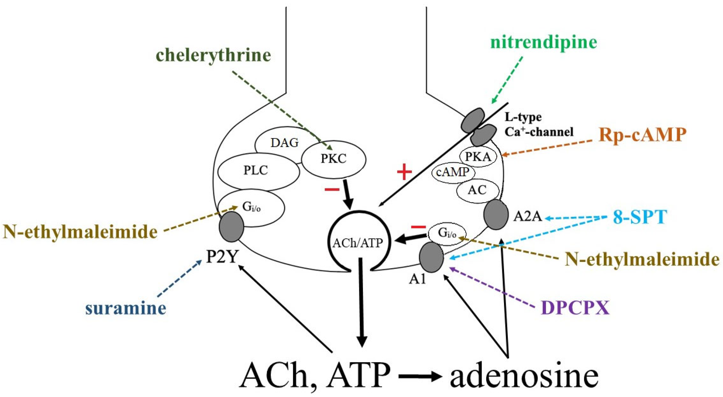 Cimb 45 00535 g008 Cimb 45 00535 g008