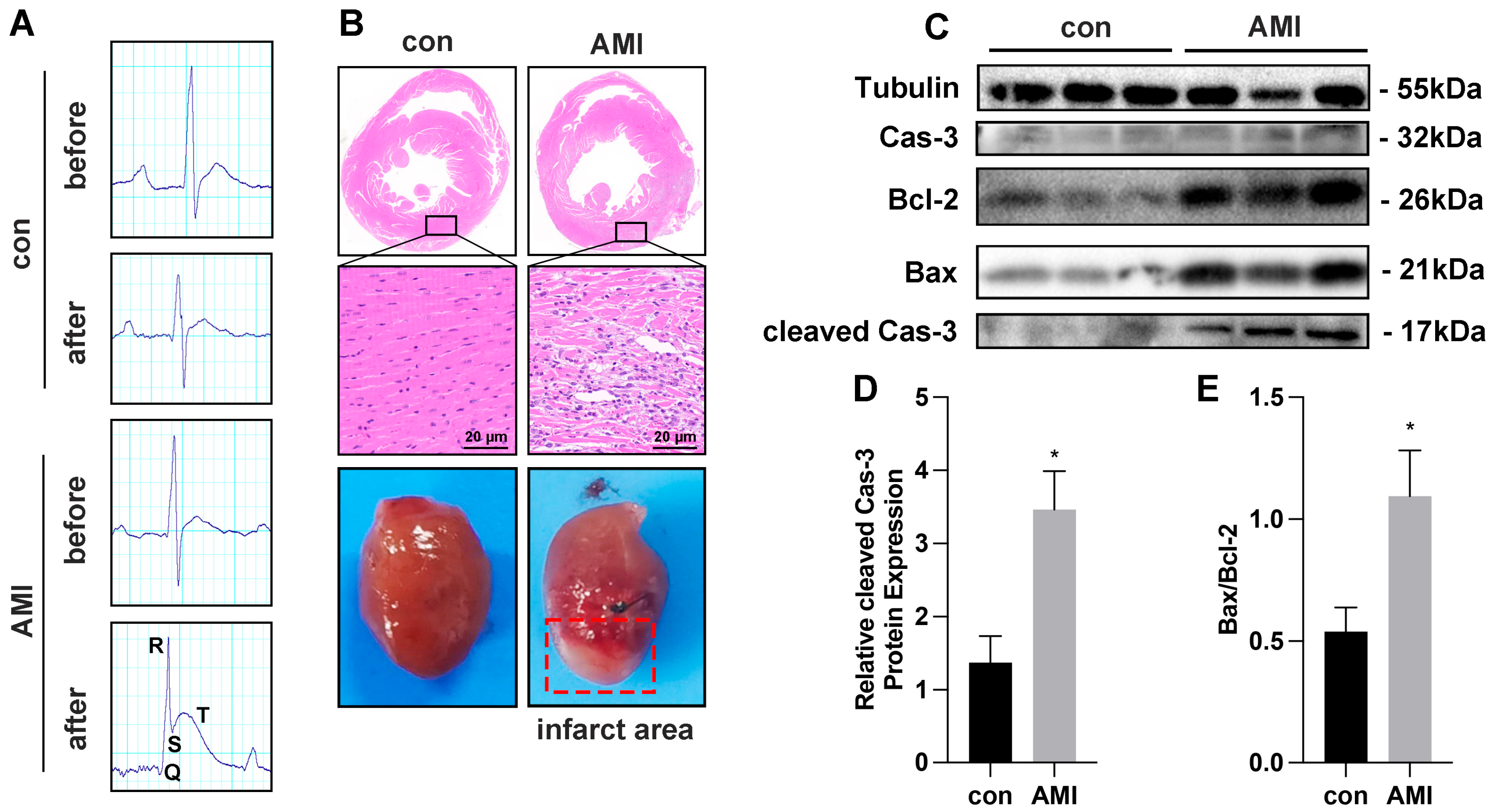 Cimb 45 00543 g002