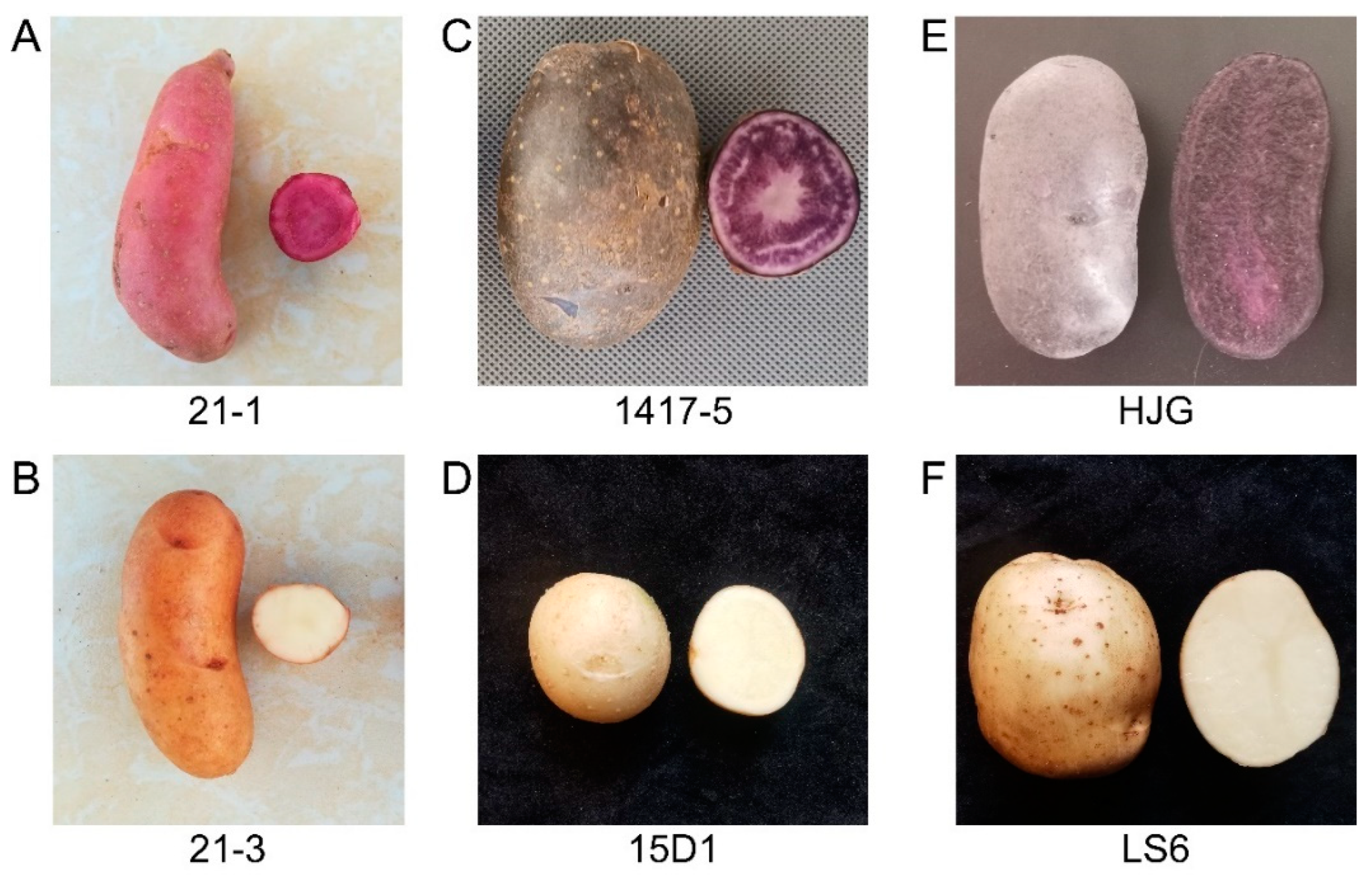 Cimb 45 00621 g001 Cimb 45 00621 g001
