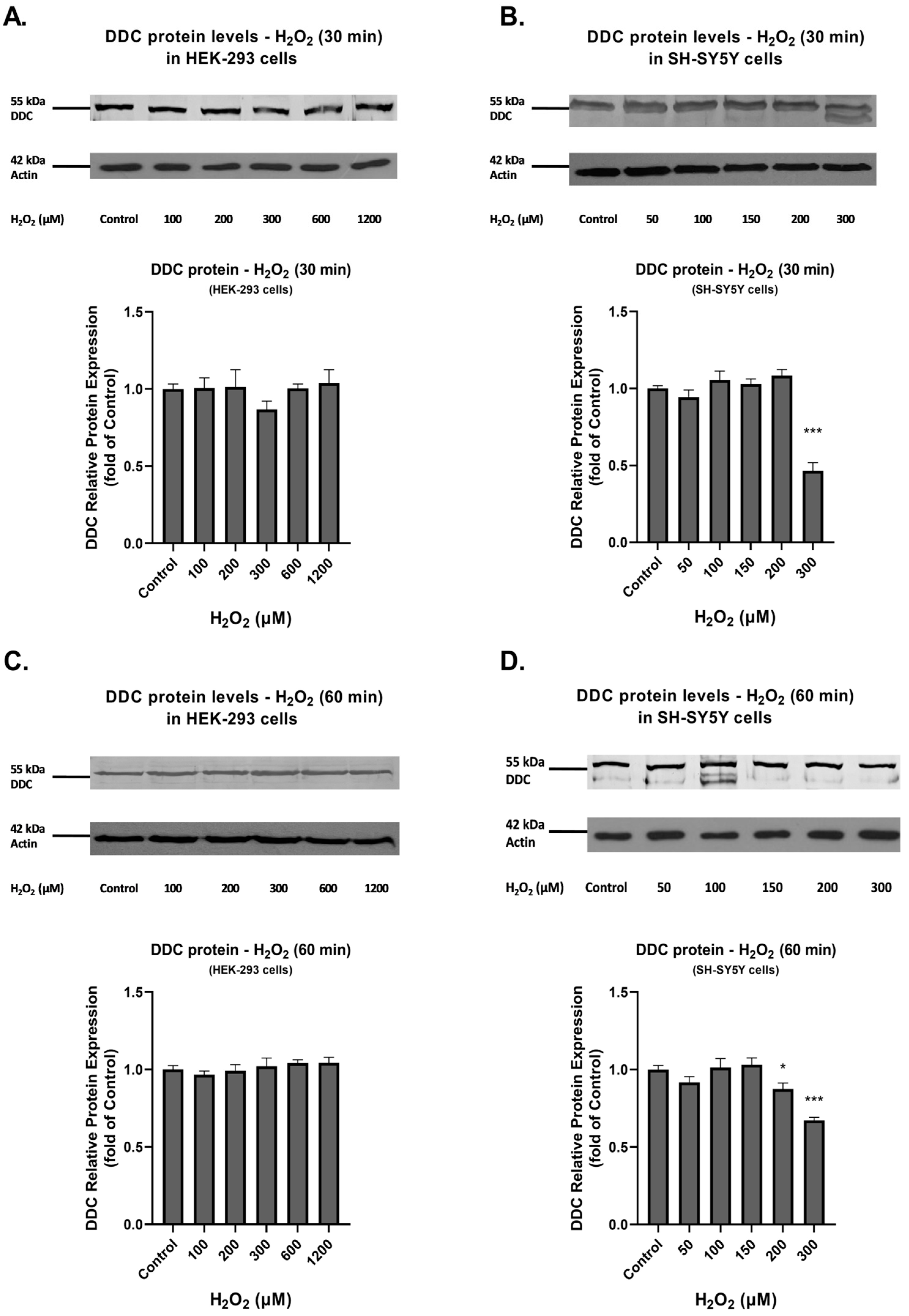 Cimb 45 00635 g002 Cimb 45 00635 g002