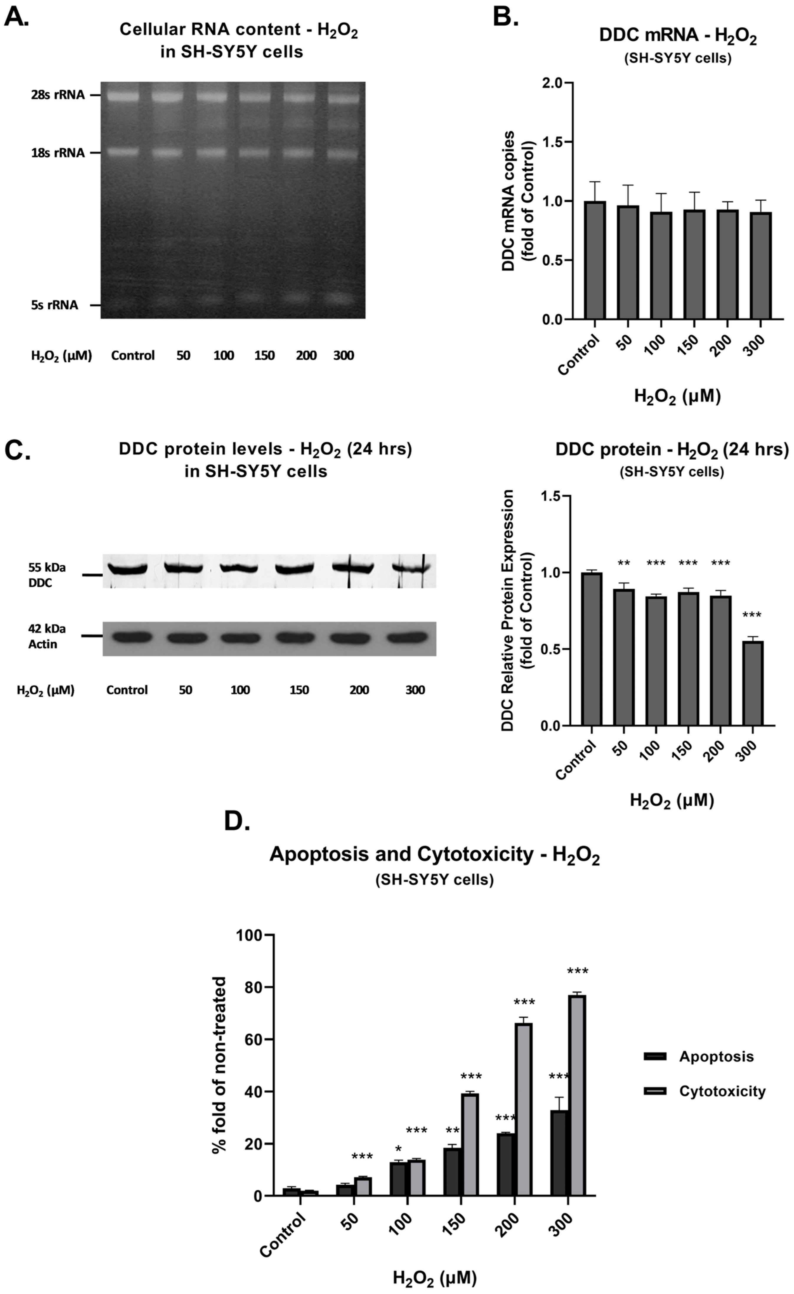 Cimb 45 00635 g005 Cimb 45 00635 g005