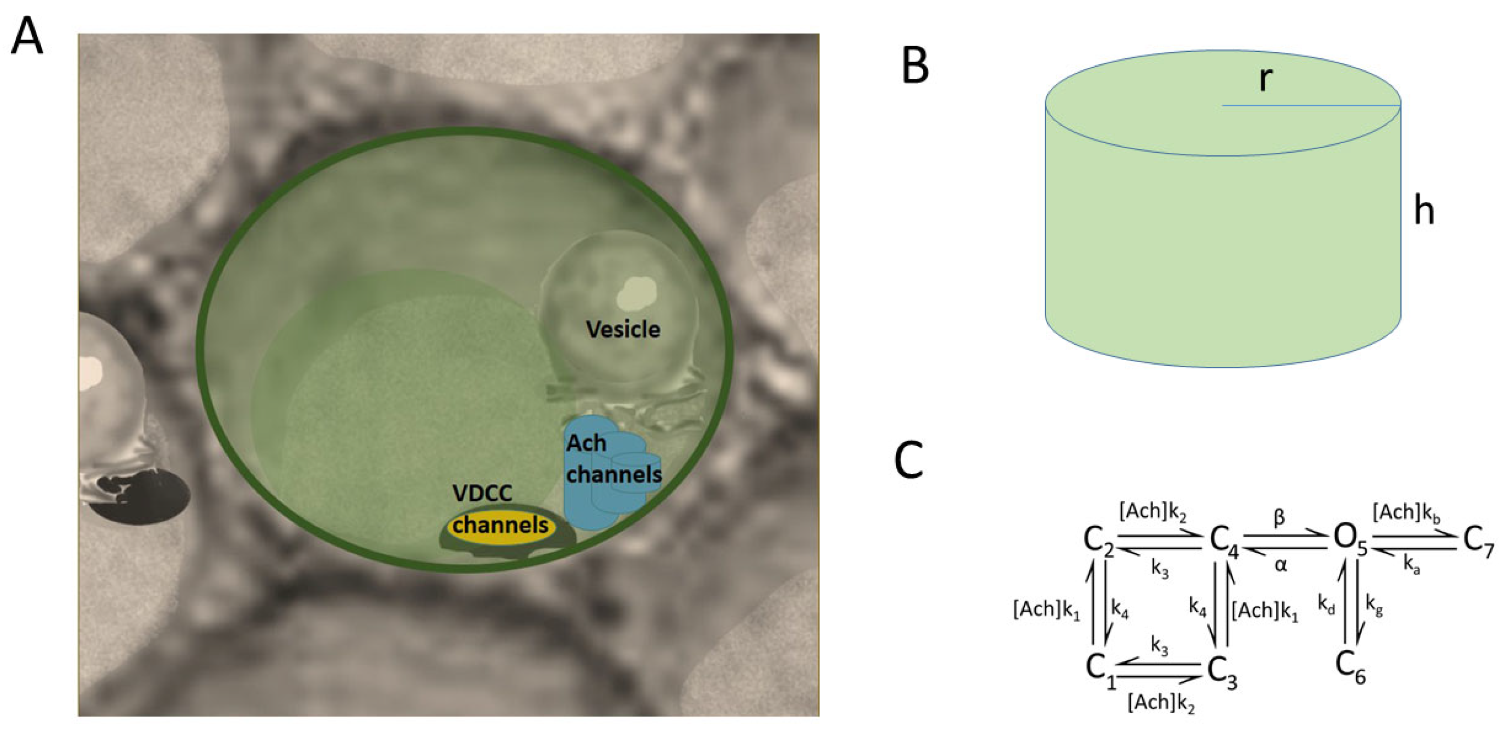 Cimb 46 00052 g001 Cimb 46 00052 g001