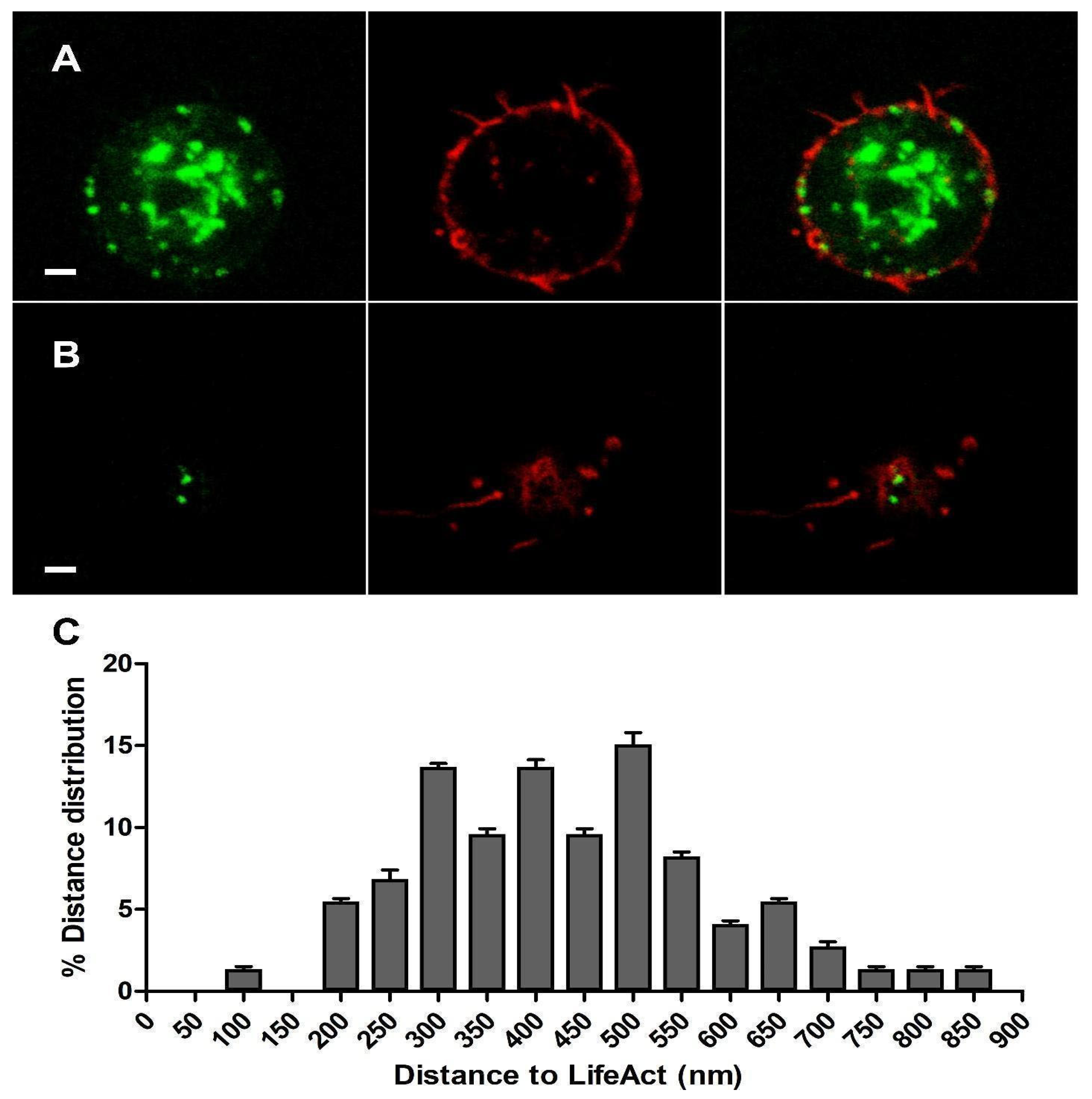 Cimb 46 00052 g002 Cimb 46 00052 g002