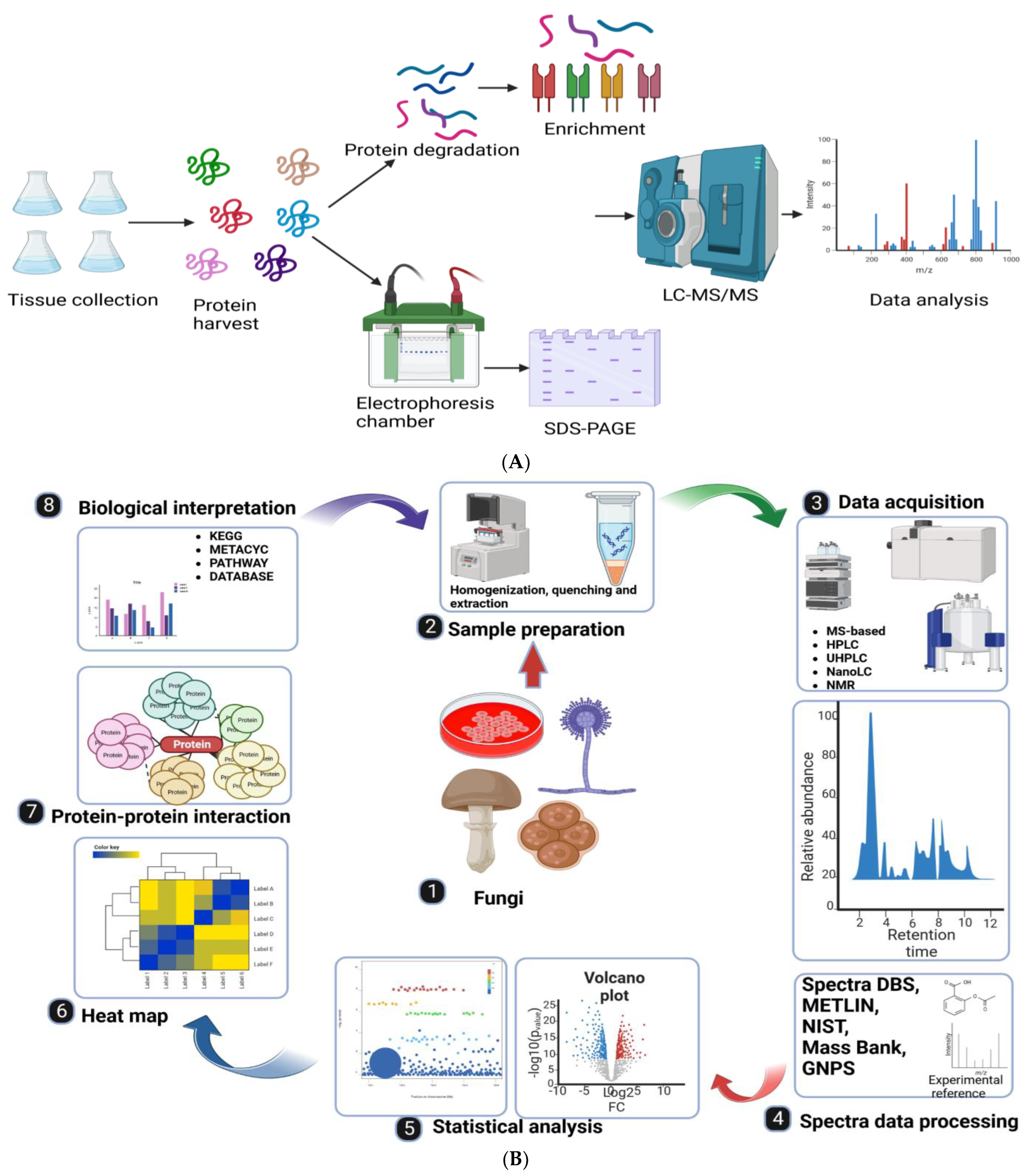 Cimb 46 00065 g005 Cimb 46 00065 g005