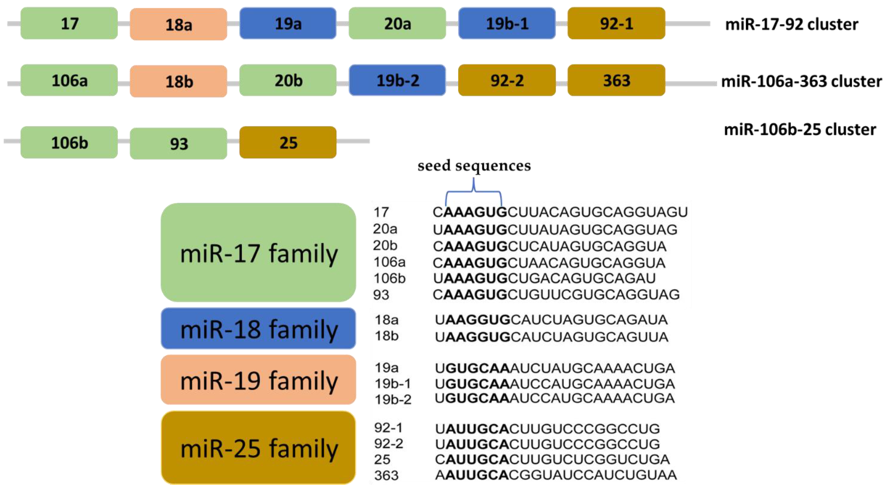 Cimb 46 00120 g002 Cimb 46 00120 g002