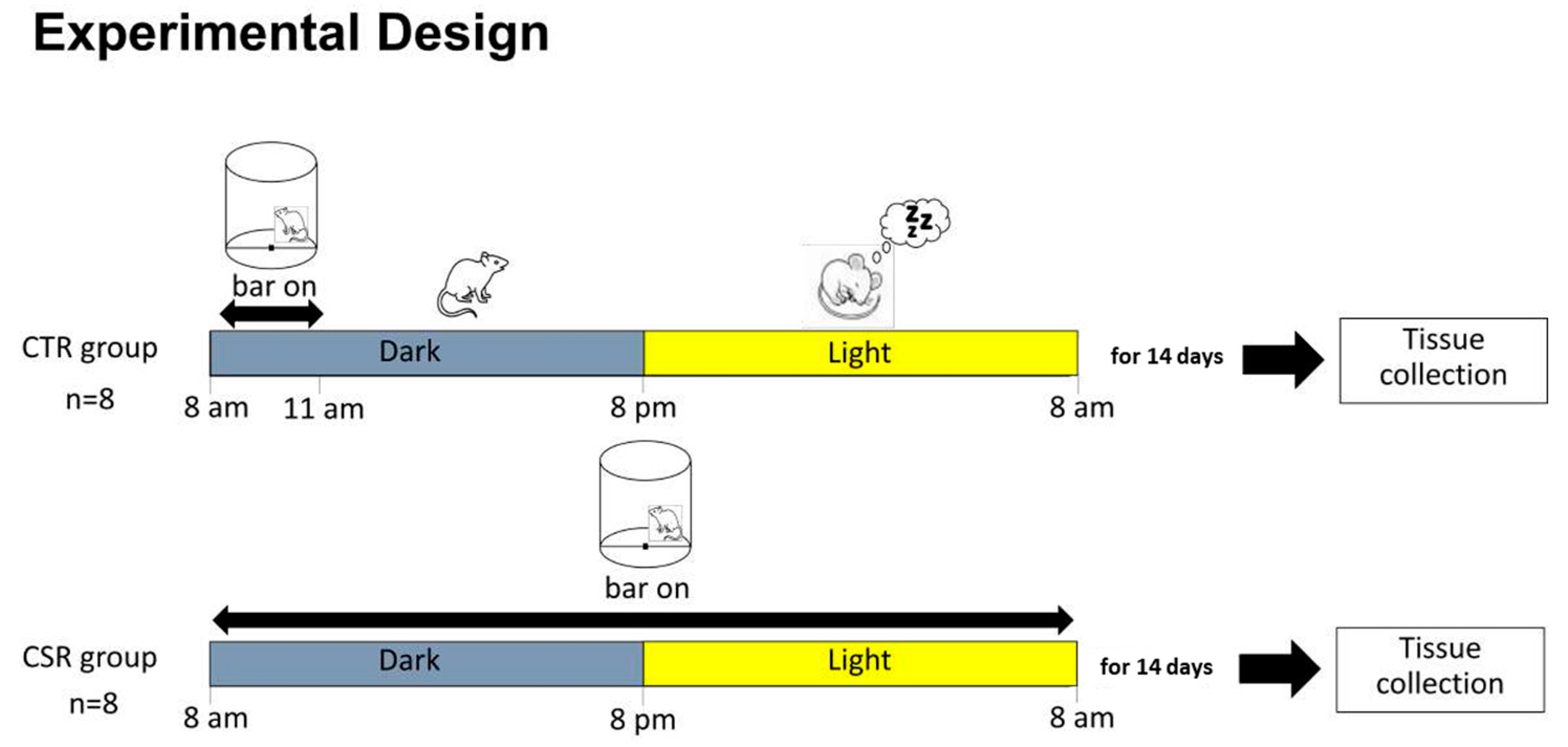 Cimb 46 00138 g001 Cimb 46 00138 g001