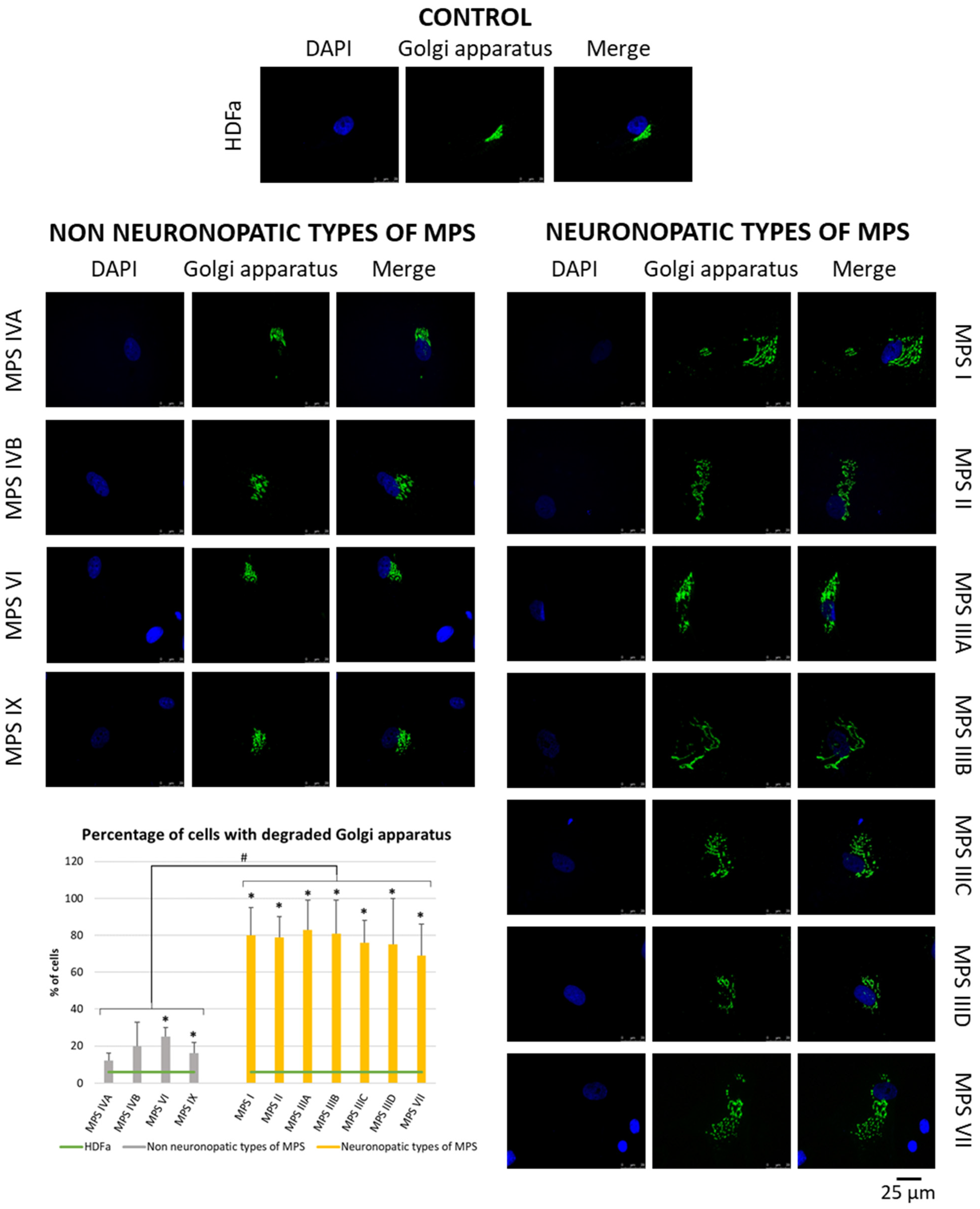 Cimb 46 00169 g004 Cimb 46 00169 g004