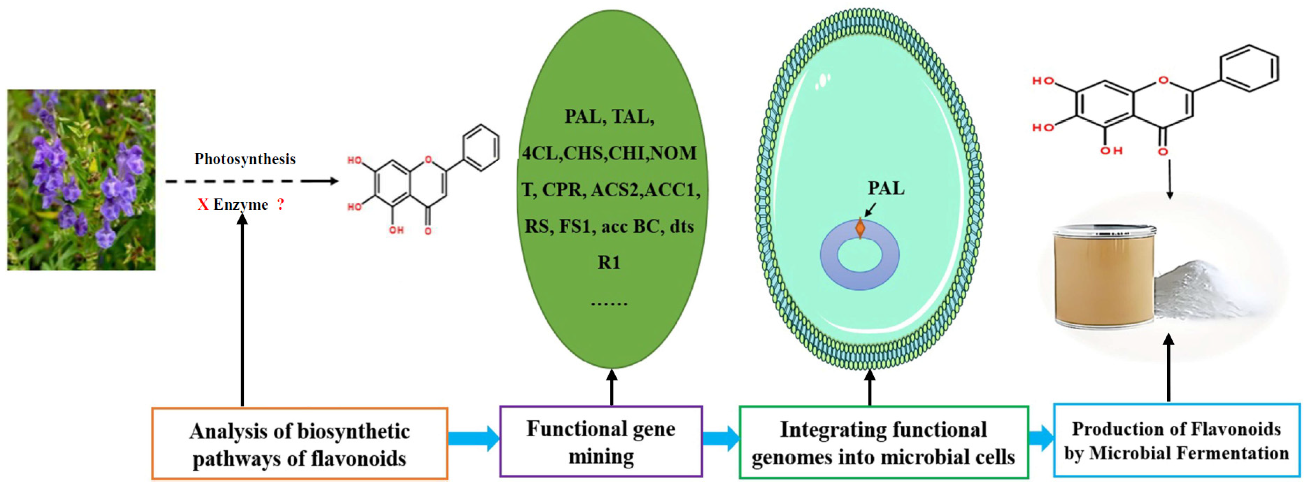 Cimb 46 00181 g007 Cimb 46 00181 g007