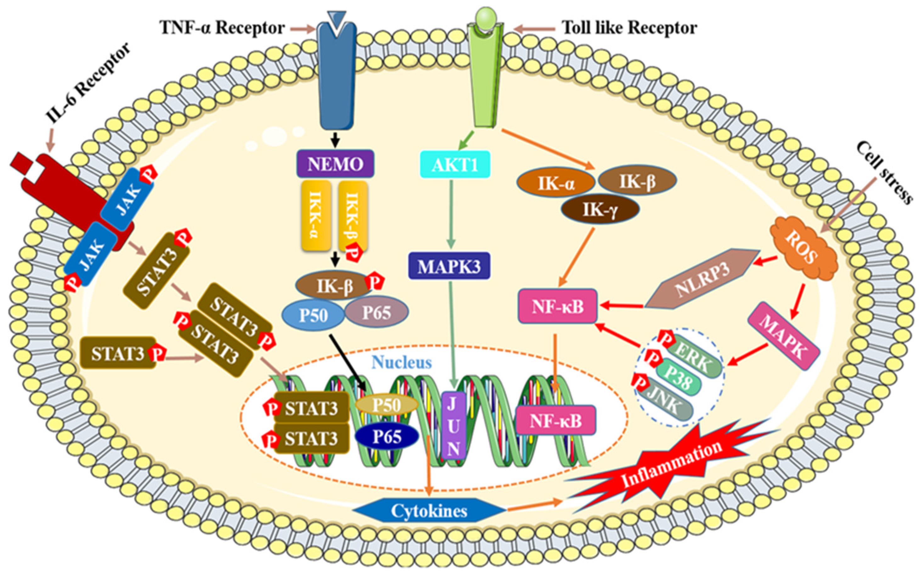 Cimb 46 00181 g008 Cimb 46 00181 g008