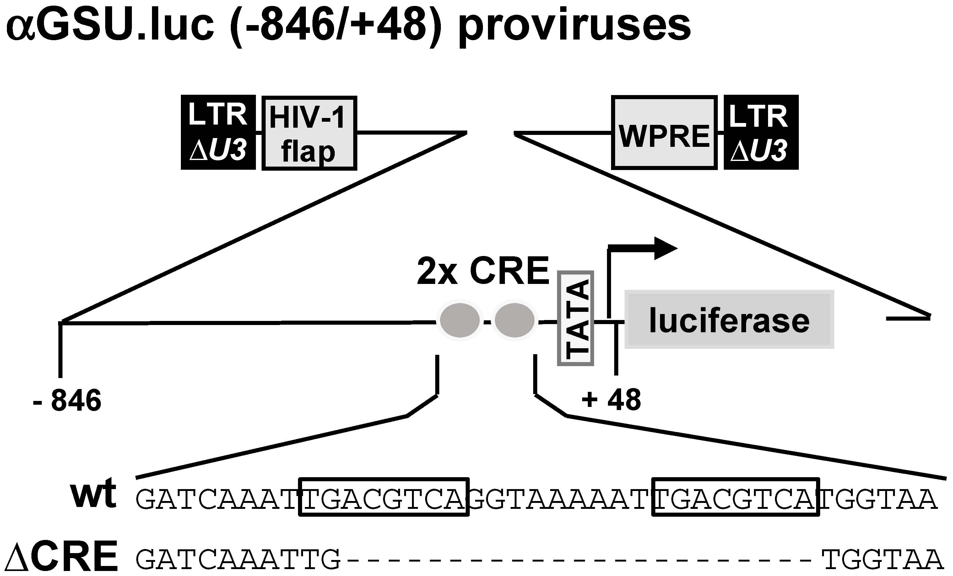 Cimb 46 00202 g001 Cimb 46 00202 g001
