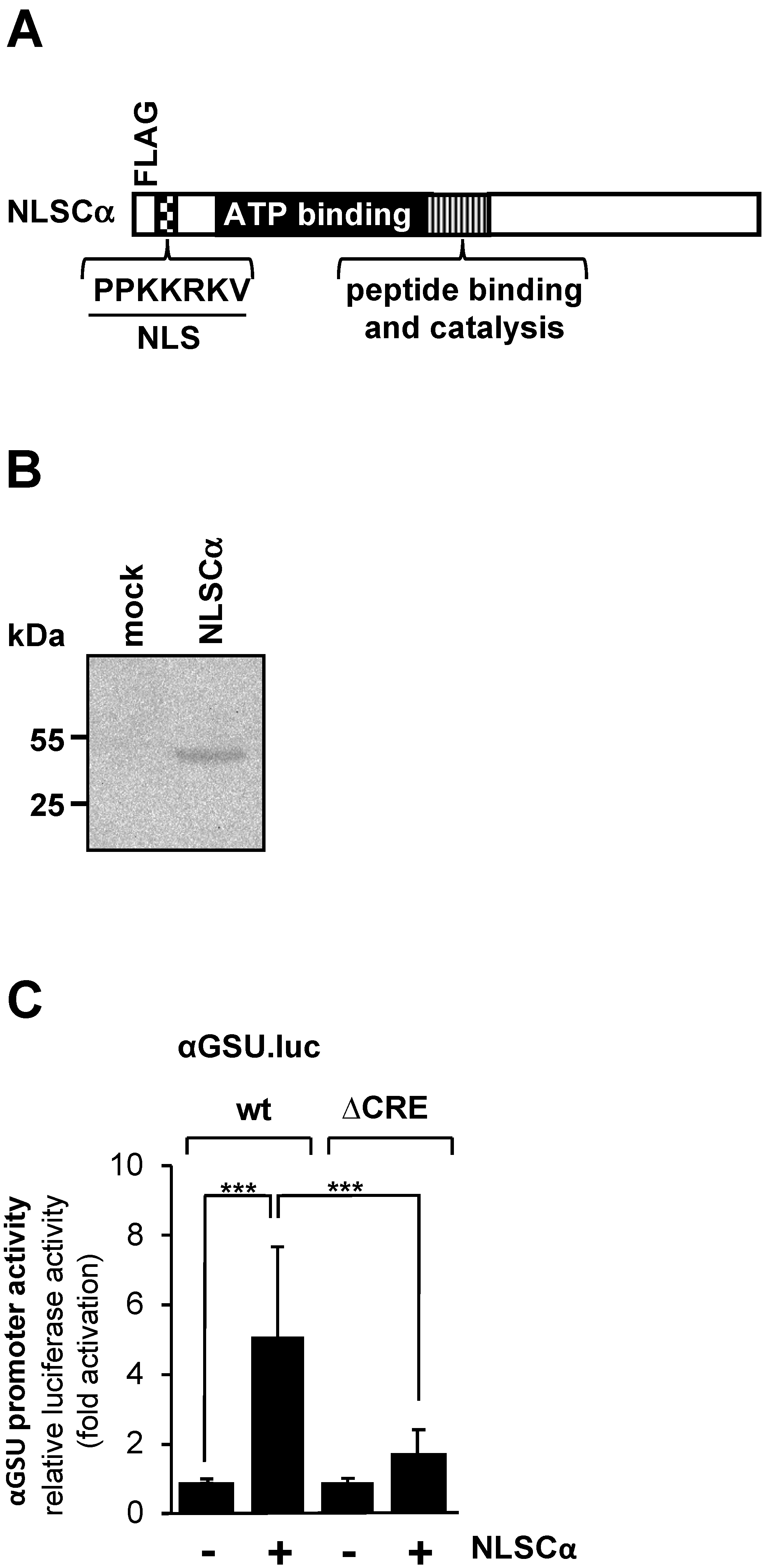 Cimb 46 00202 g003 Cimb 46 00202 g003