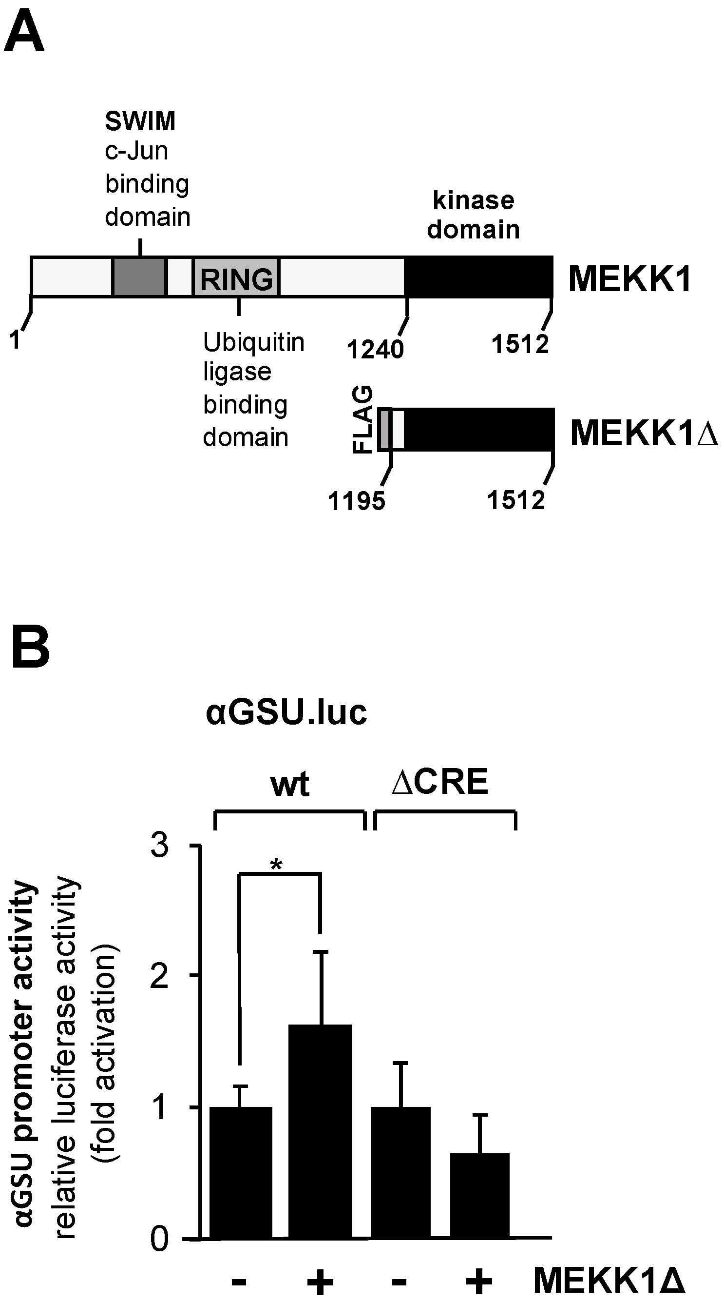 Cimb 46 00202 g005 Cimb 46 00202 g005