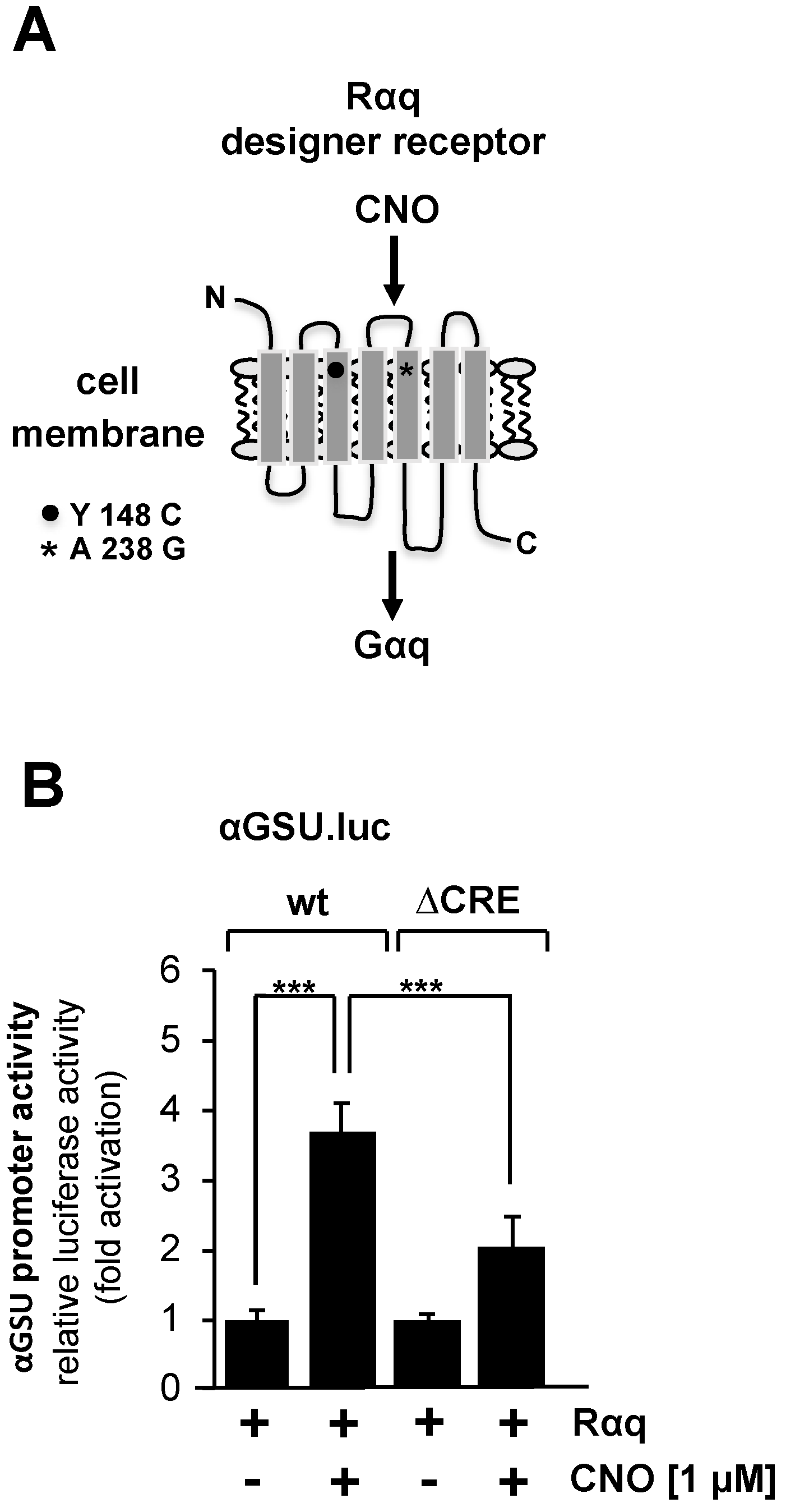 Cimb 46 00202 g006 Cimb 46 00202 g006