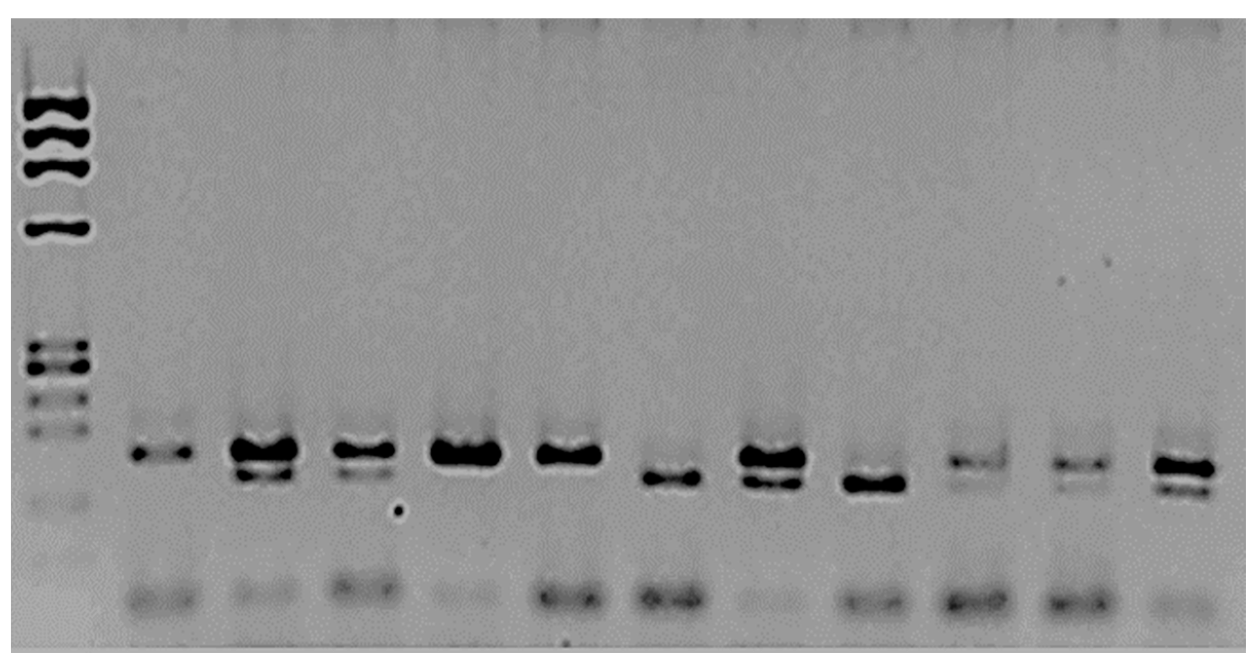 Cimb 46 00217 g001 Cimb 46 00217 g001