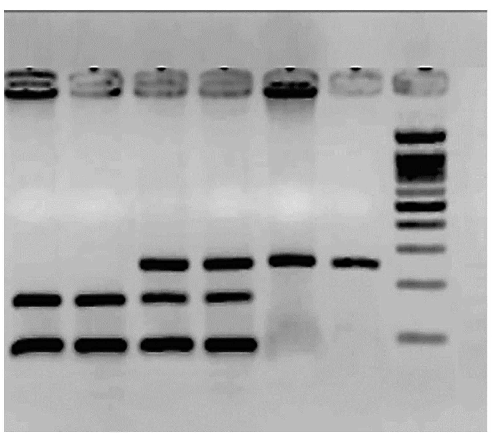 Cimb 46 00217 g002 Cimb 46 00217 g002