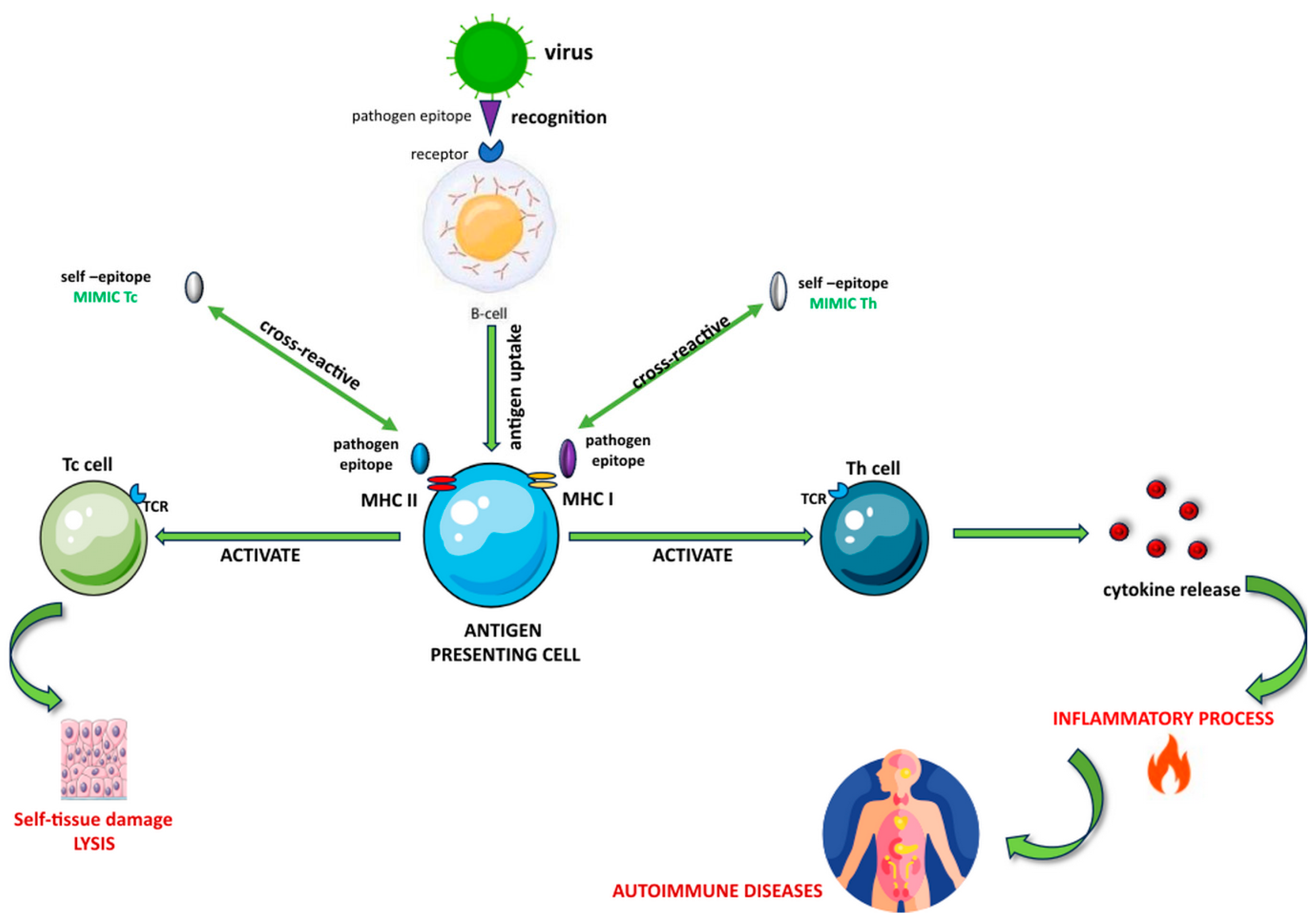 Cimb 46 00220 g001 Cimb 46 00220 g001