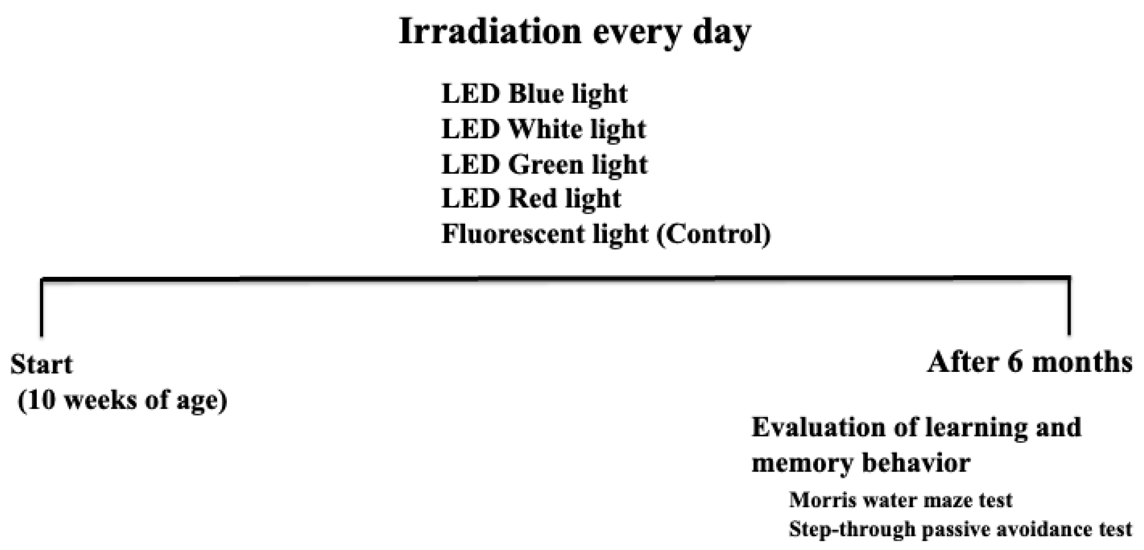 Cimb 46 00295 g001 Cimb 46 00295 g001