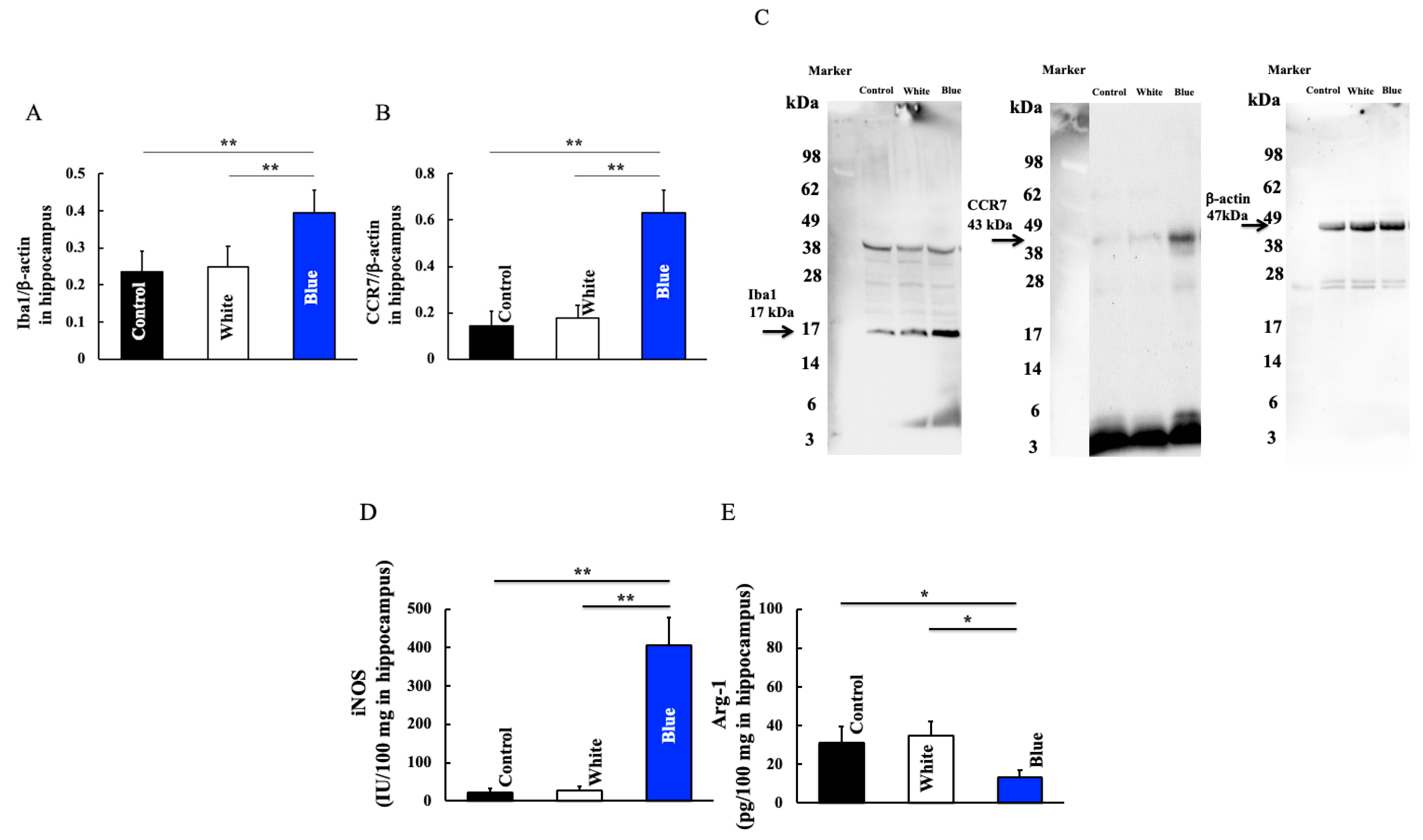 Cimb 46 00295 g004 Cimb 46 00295 g004