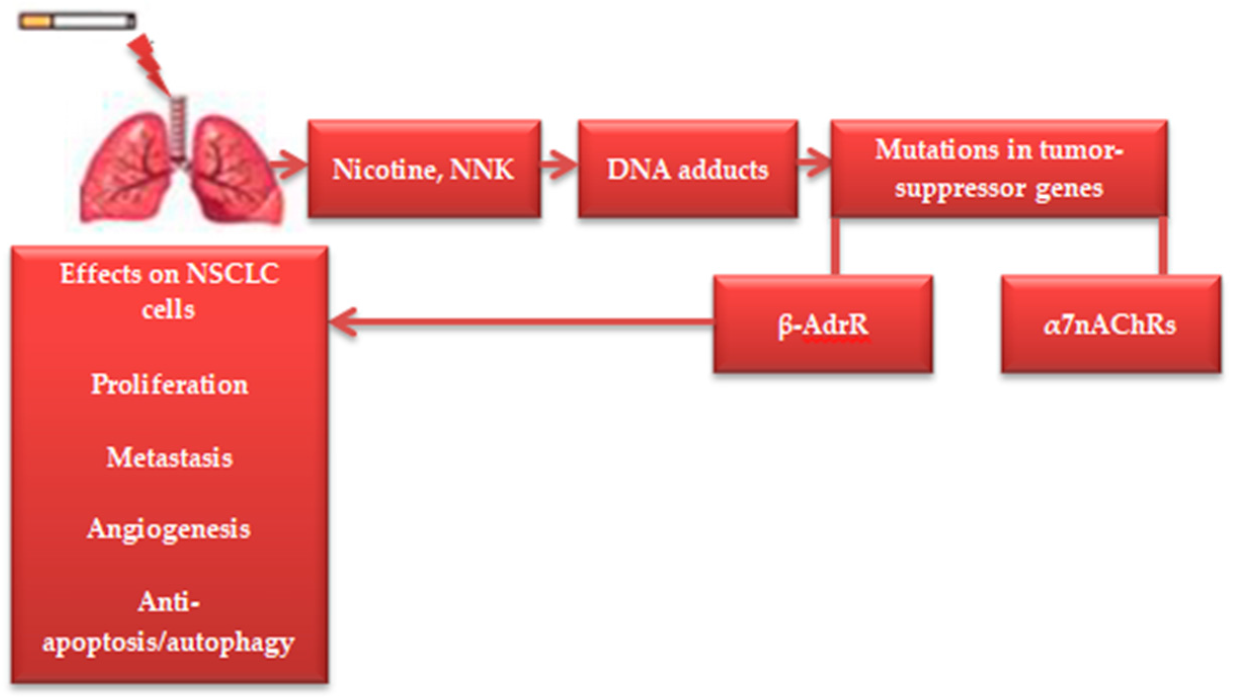 Cimb 46 00352 g001 Cimb 46 00352 g001