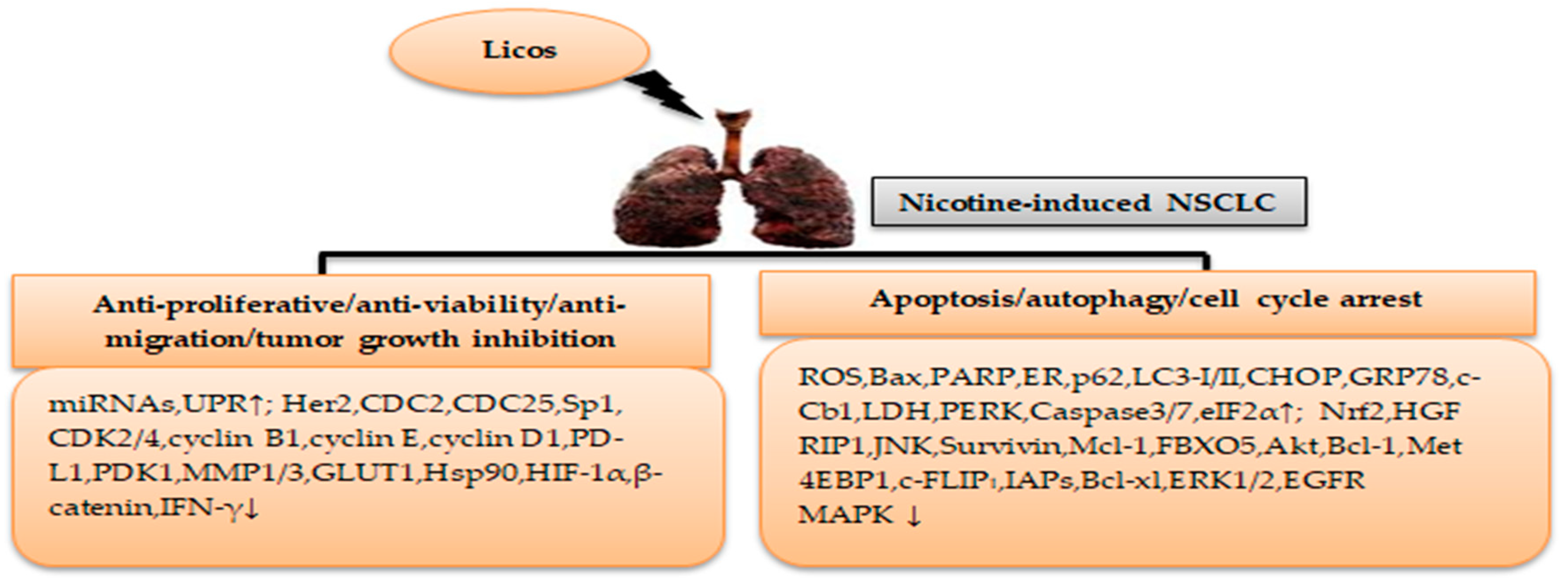 Cimb 46 00352 g004 Cimb 46 00352 g004