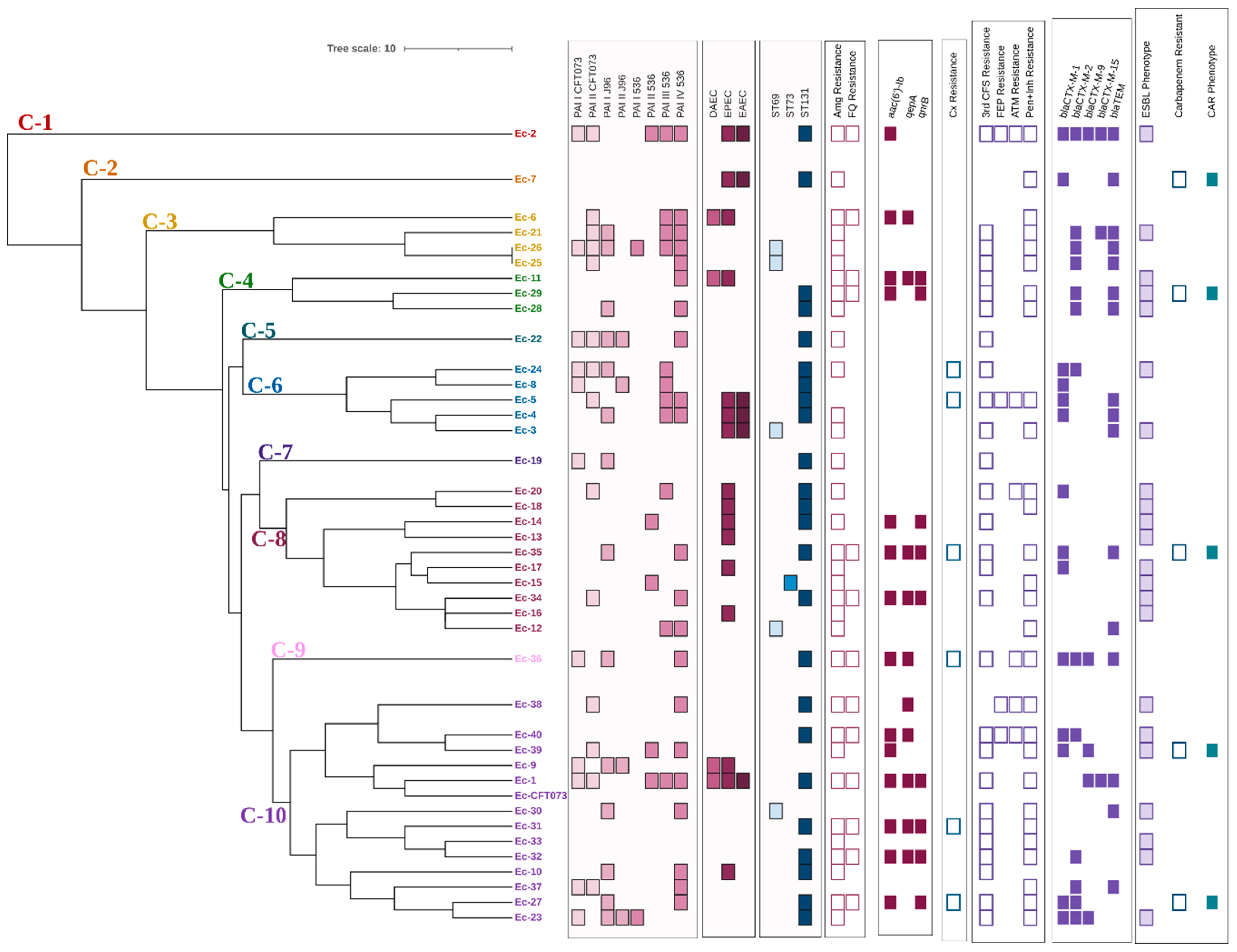 Cimb 46 00353 g003 Cimb 46 00353 g003