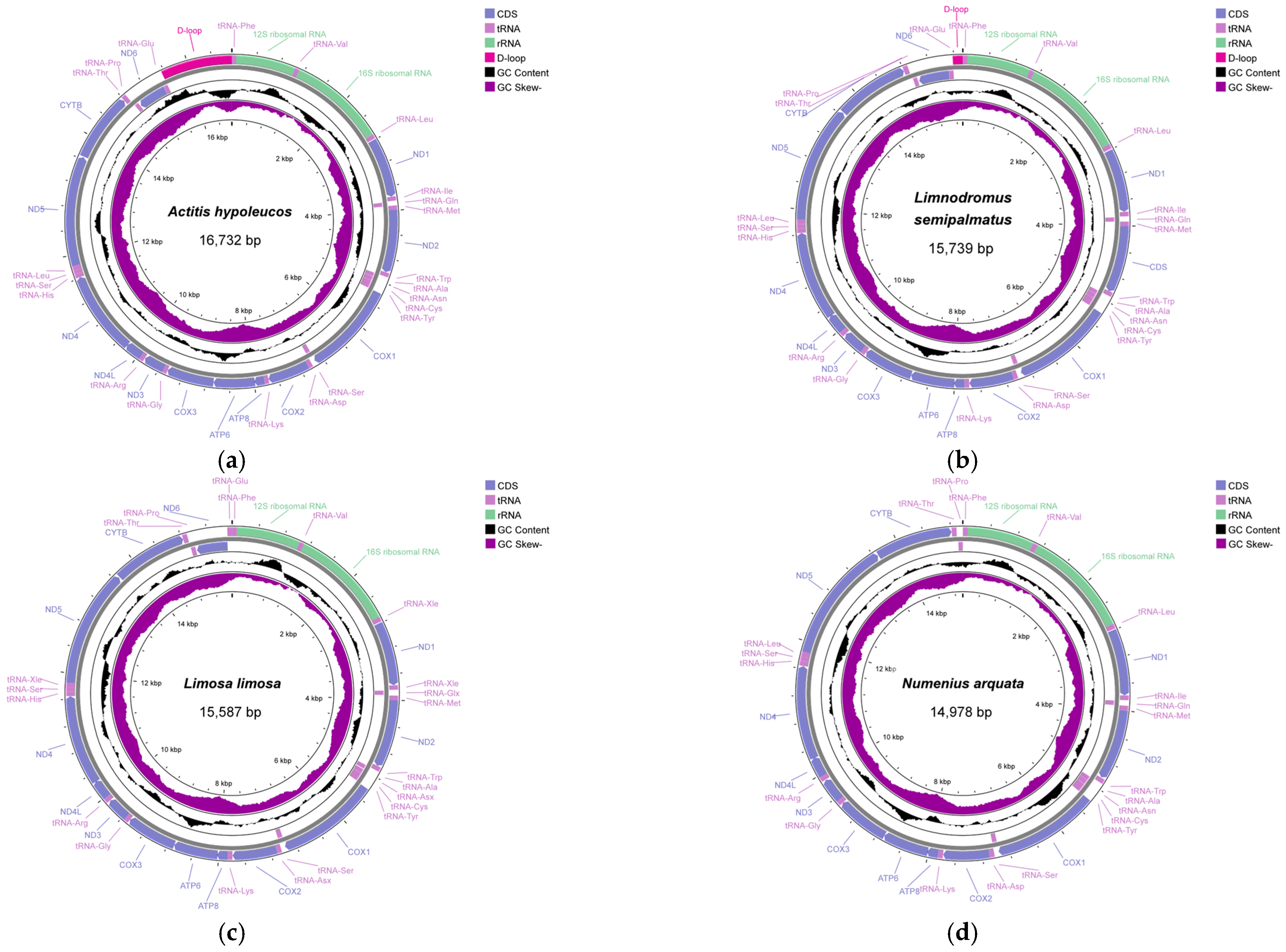 Cimb 46 00369 g001 Cimb 46 00369 g001