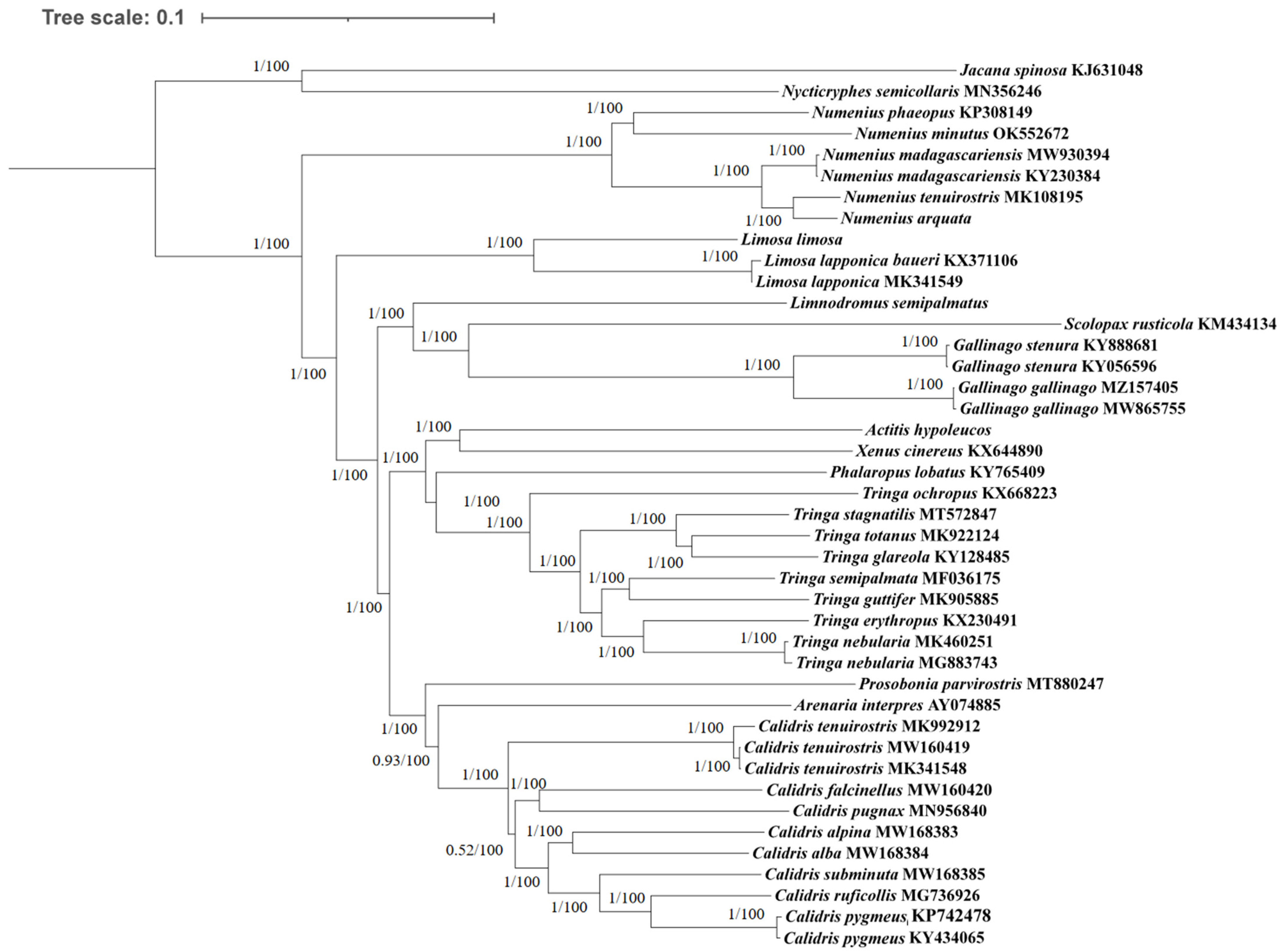 Cimb 46 00369 g004 Cimb 46 00369 g004