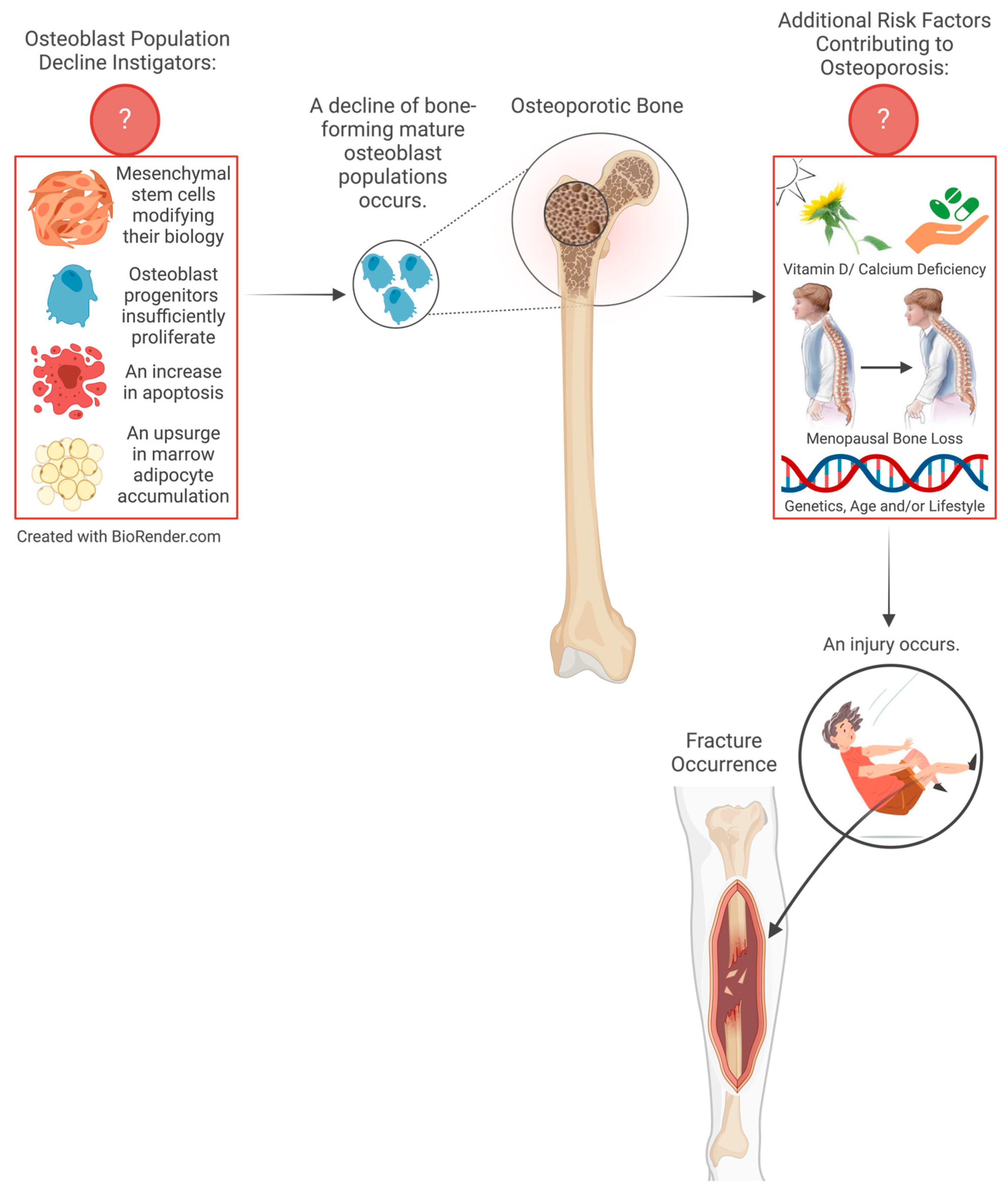 Cimb 46 00379 g001 Cimb 46 00379 g001