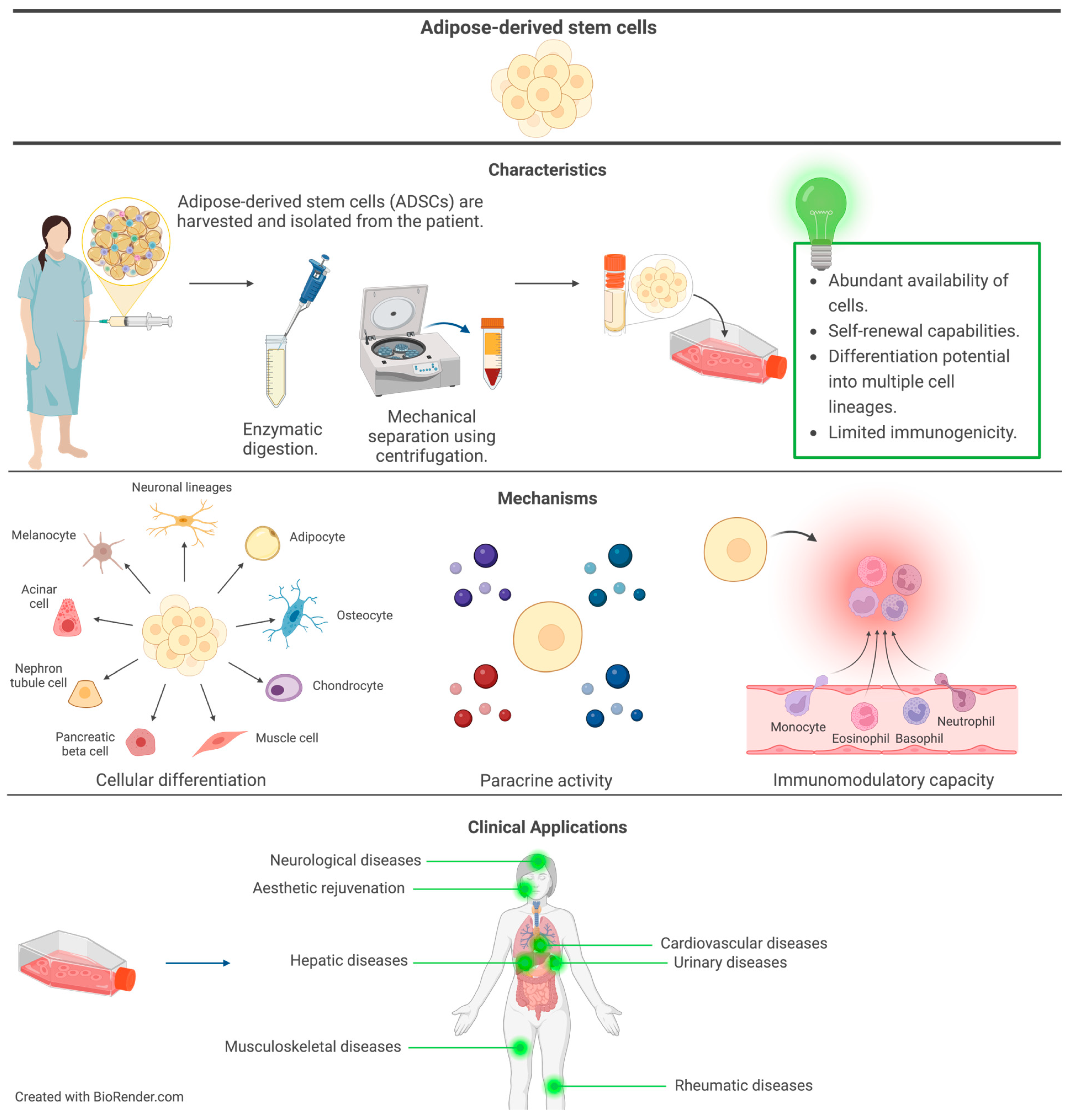 Cimb 46 00379 g002 Cimb 46 00379 g002