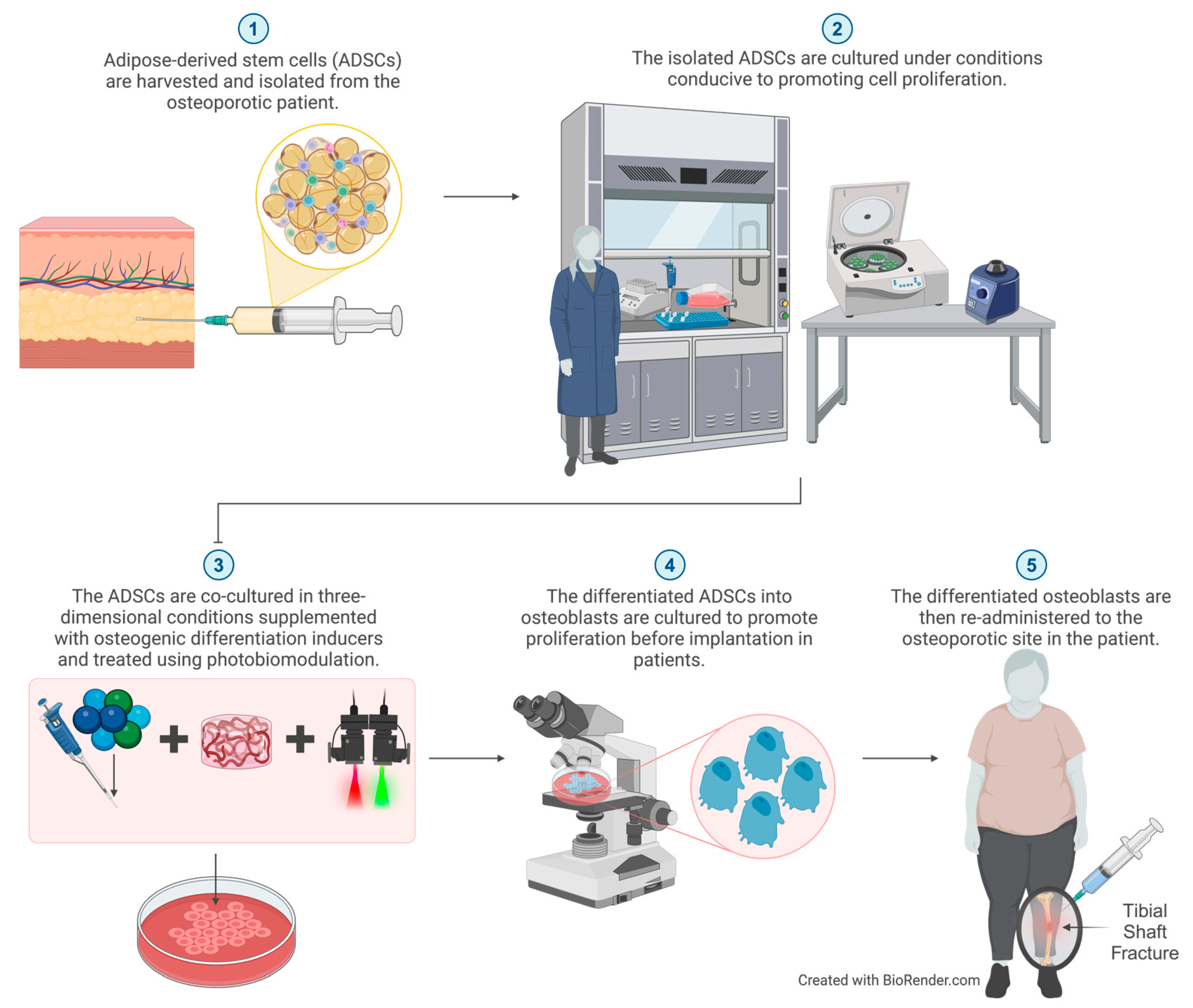 Cimb 46 00379 g004 Cimb 46 00379 g004