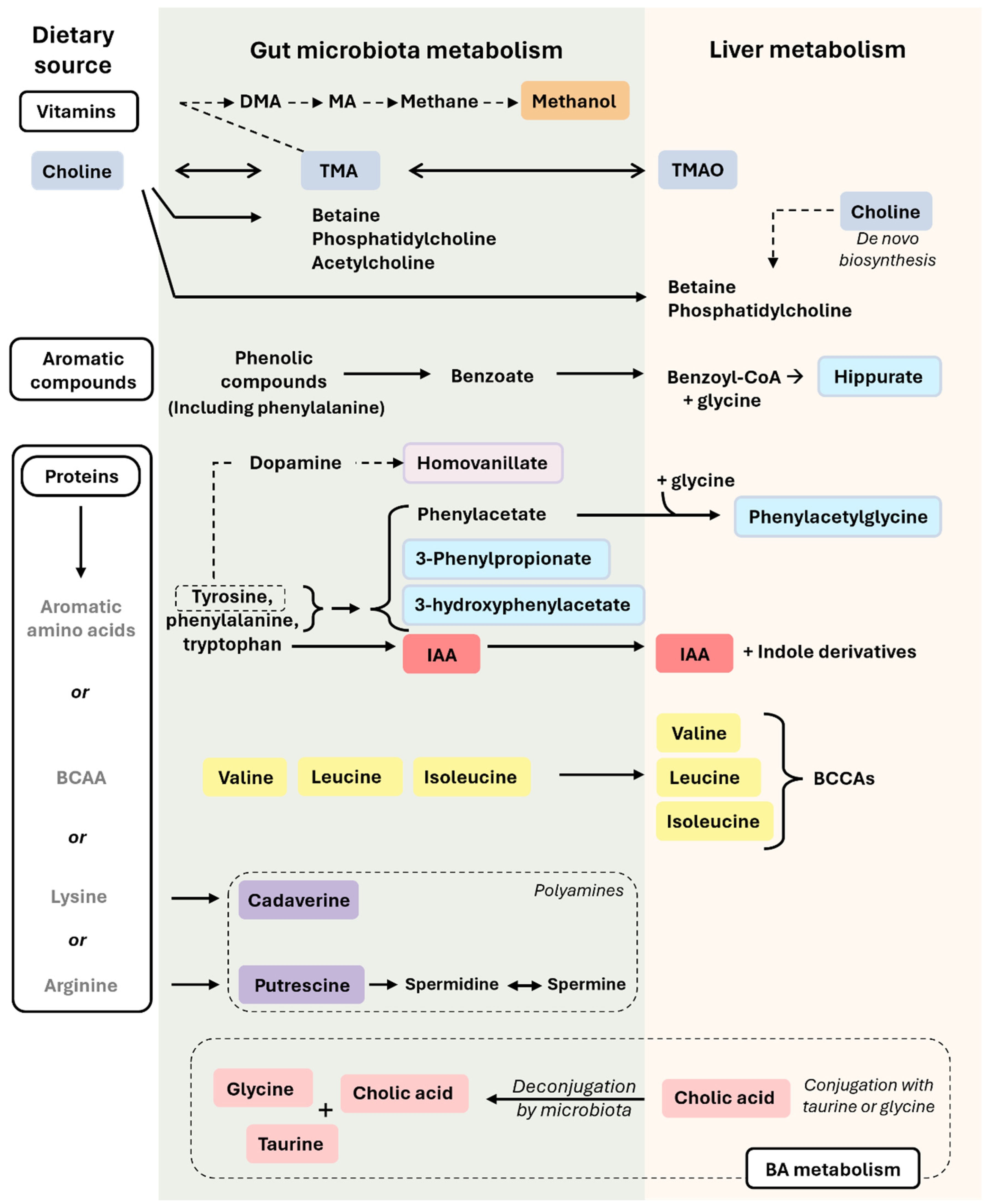 Cimb 46 00381 g002 Cimb 46 00381 g002