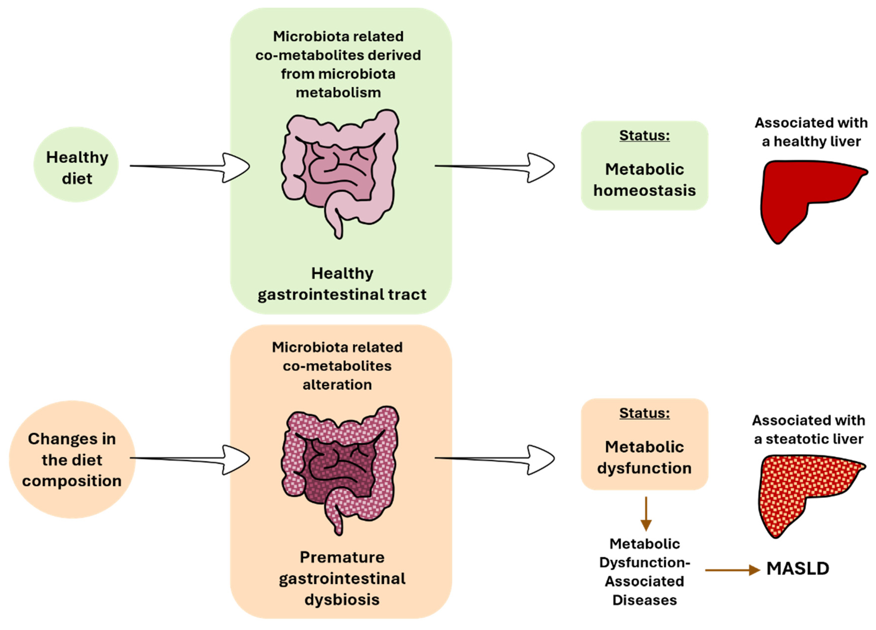 Cimb 46 00381 g003 Cimb 46 00381 g003