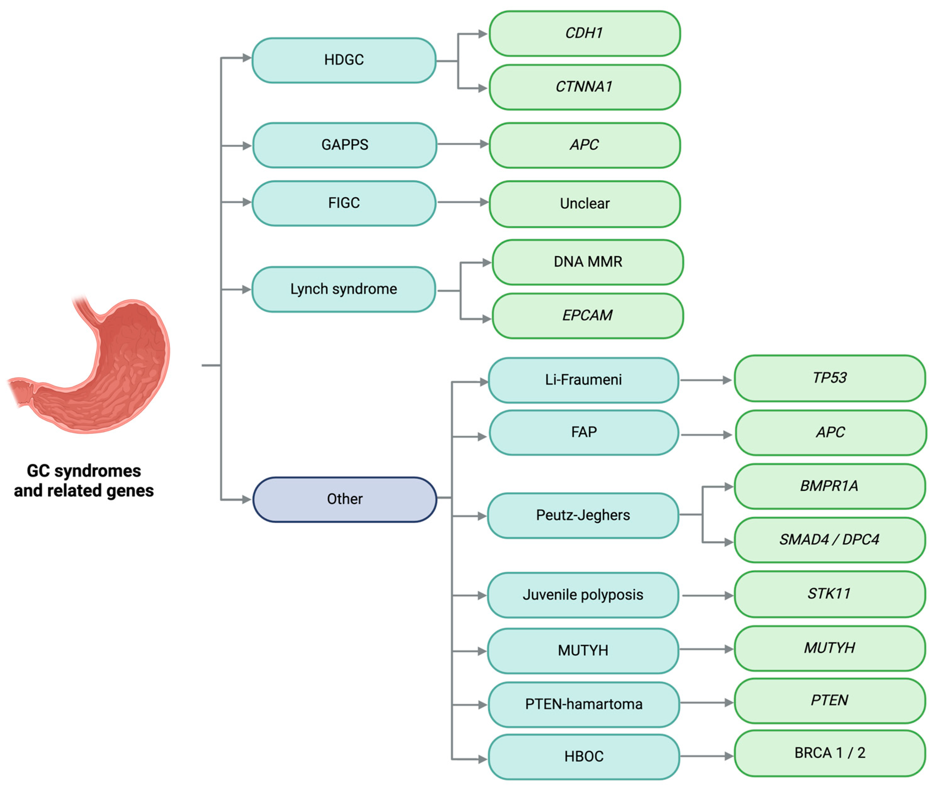 Cimb 46 00385 g001 Cimb 46 00385 g001