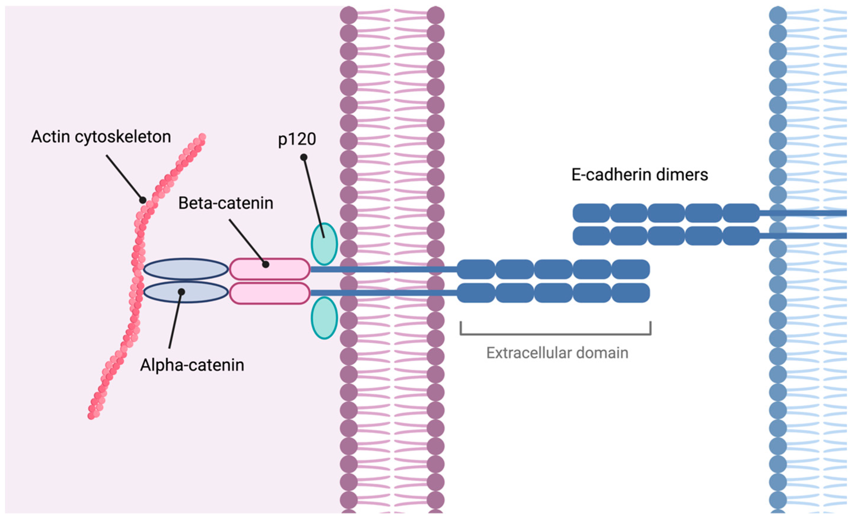 Cimb 46 00385 g003 Cimb 46 00385 g003