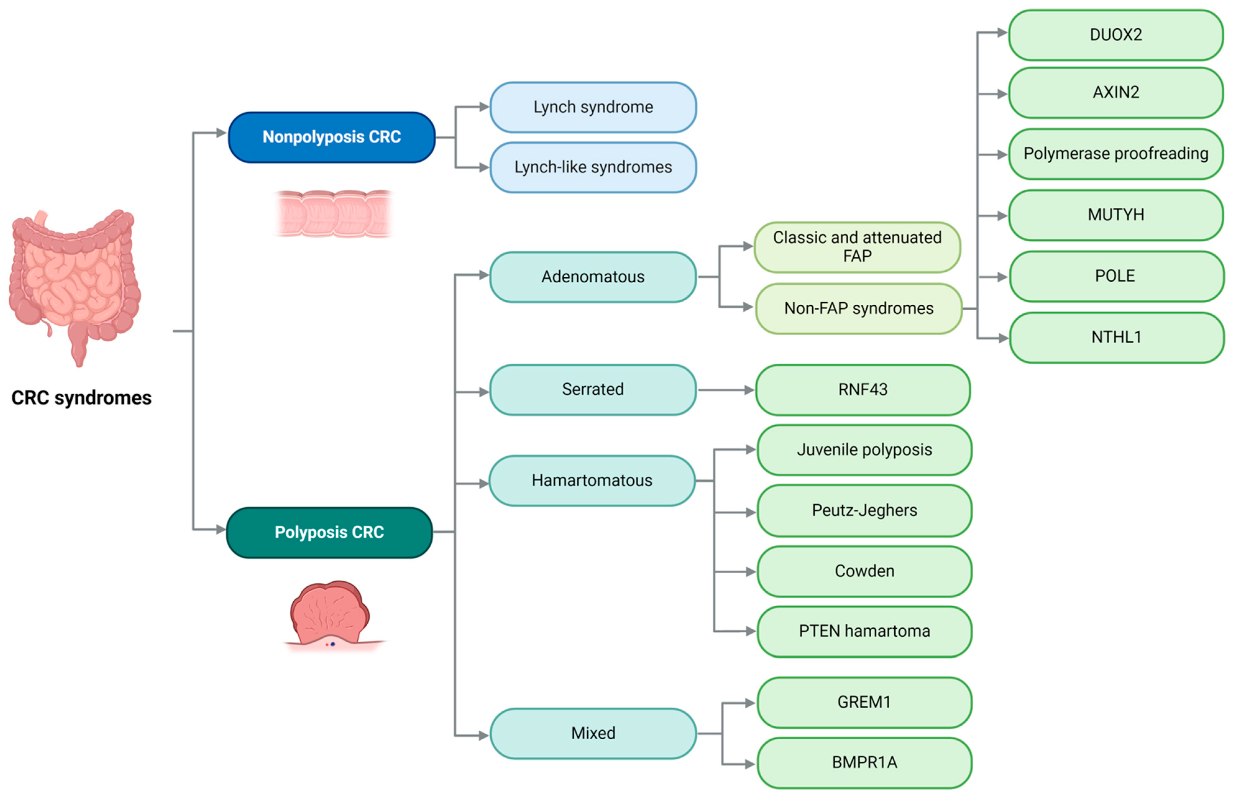 Cimb 46 00385 g006 Cimb 46 00385 g006