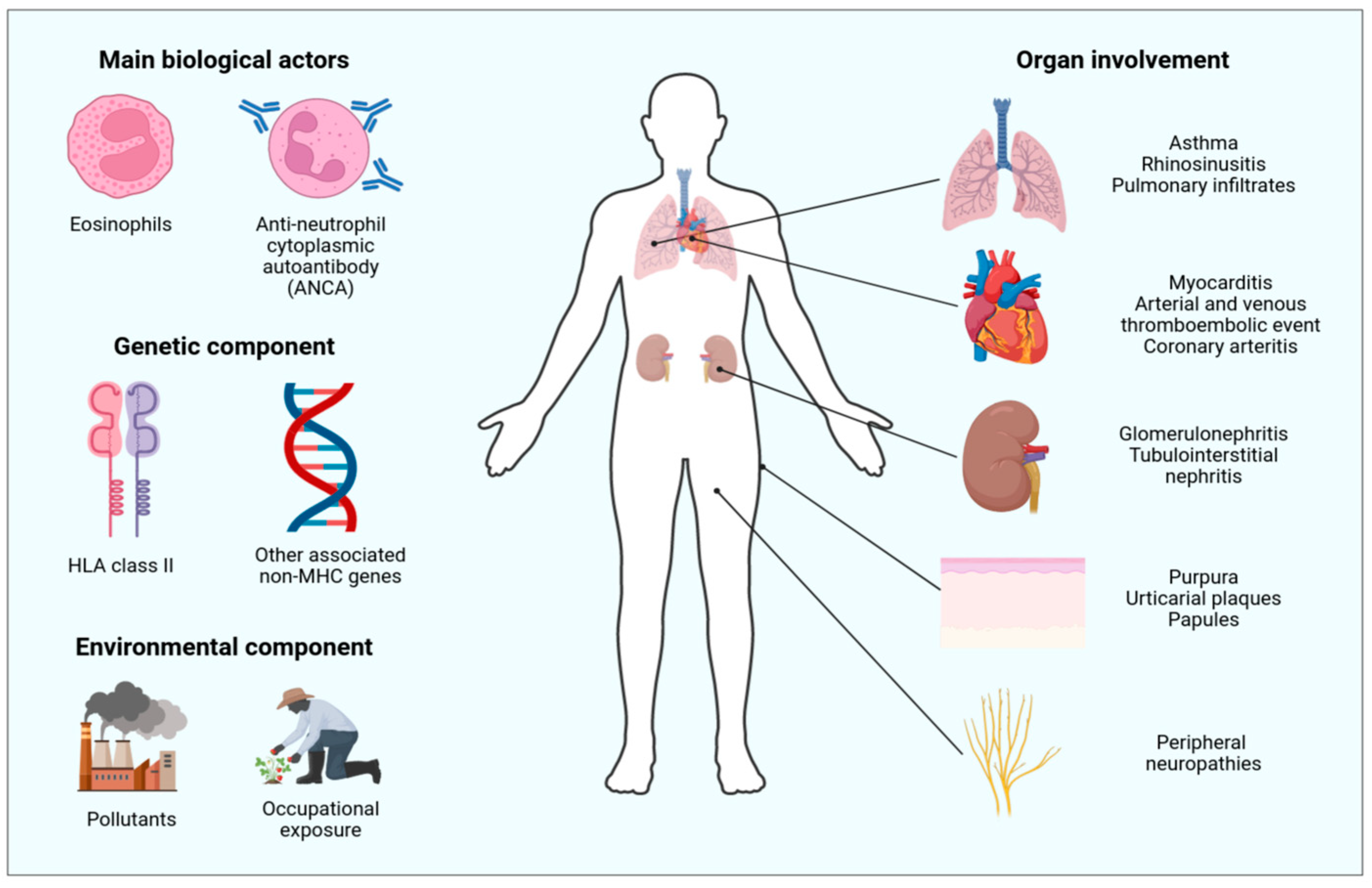 Cimb 46 00446 g001 Cimb 46 00446 g001