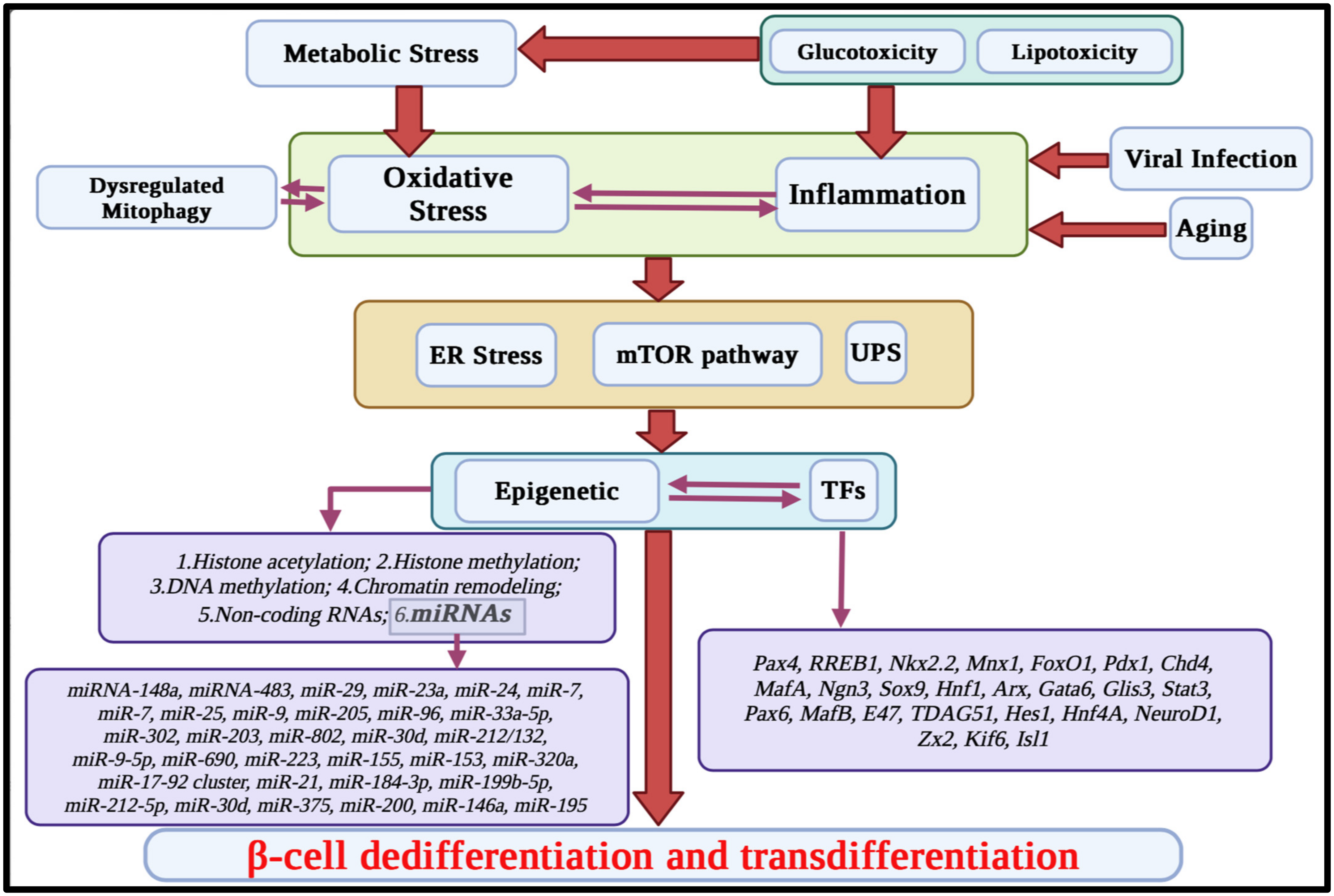 Cimb 46 00453 g001 Cimb 46 00453 g001