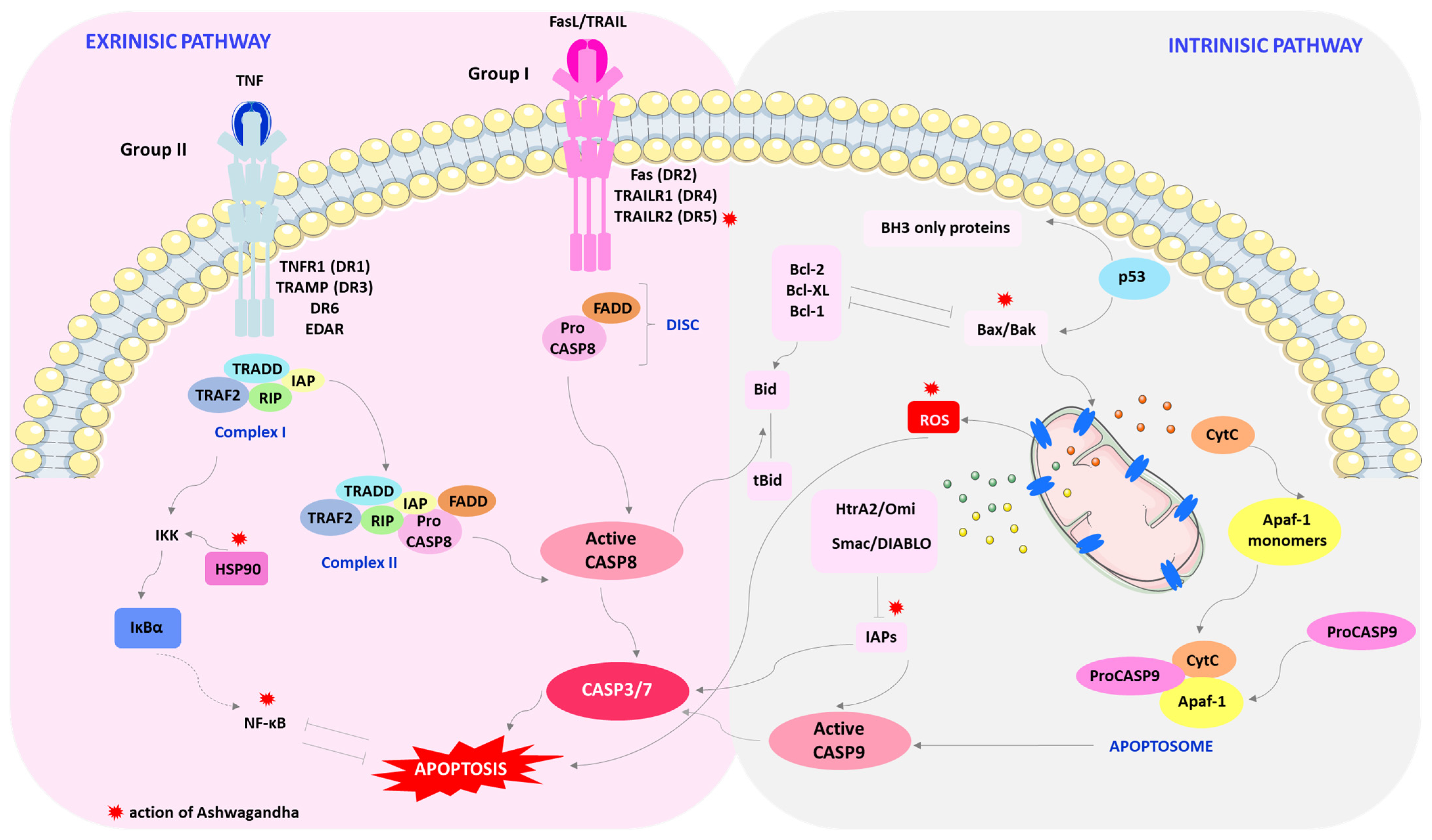 Cimb 46 00454 g002 Cimb 46 00454 g002