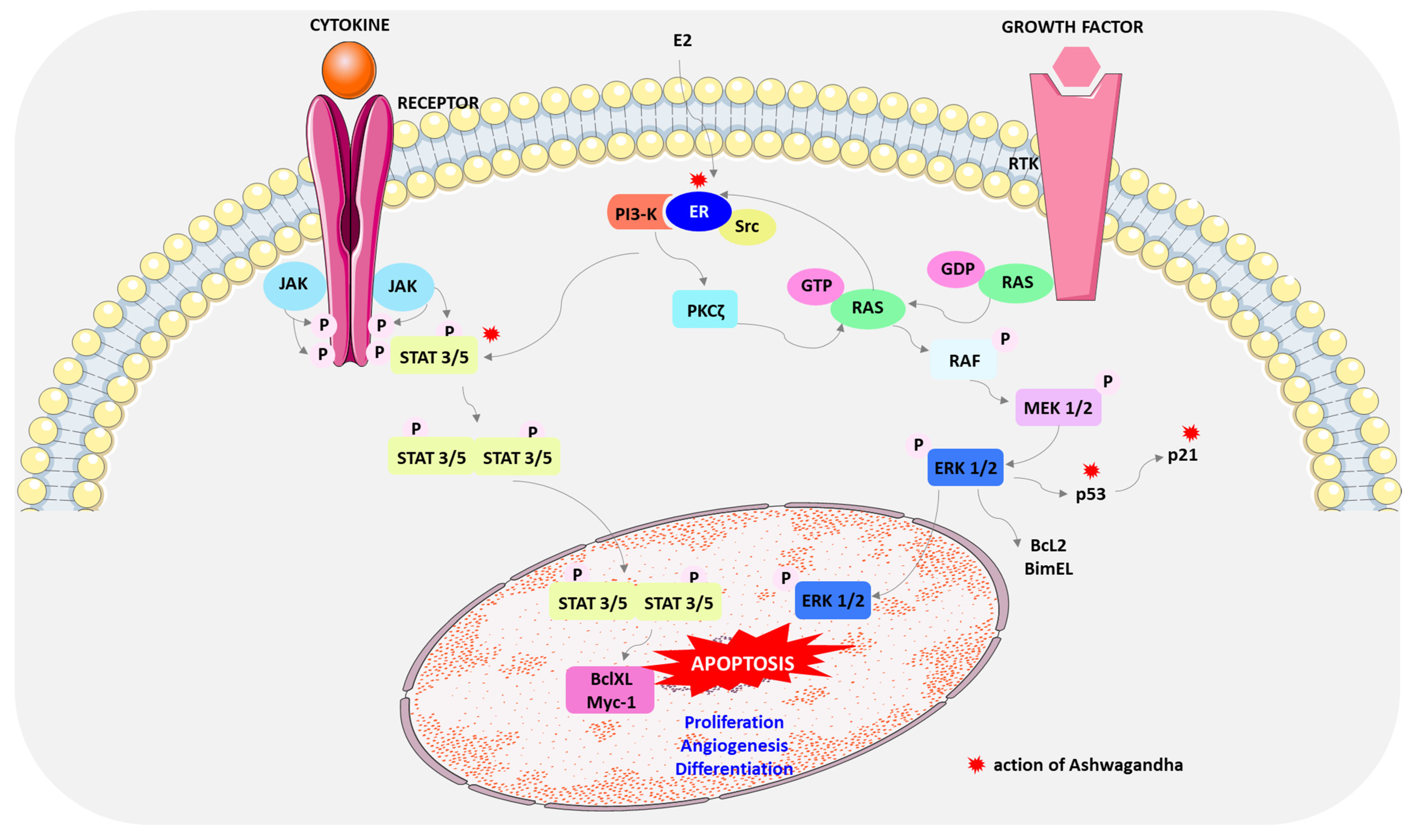 Cimb 46 00454 g003 Cimb 46 00454 g003