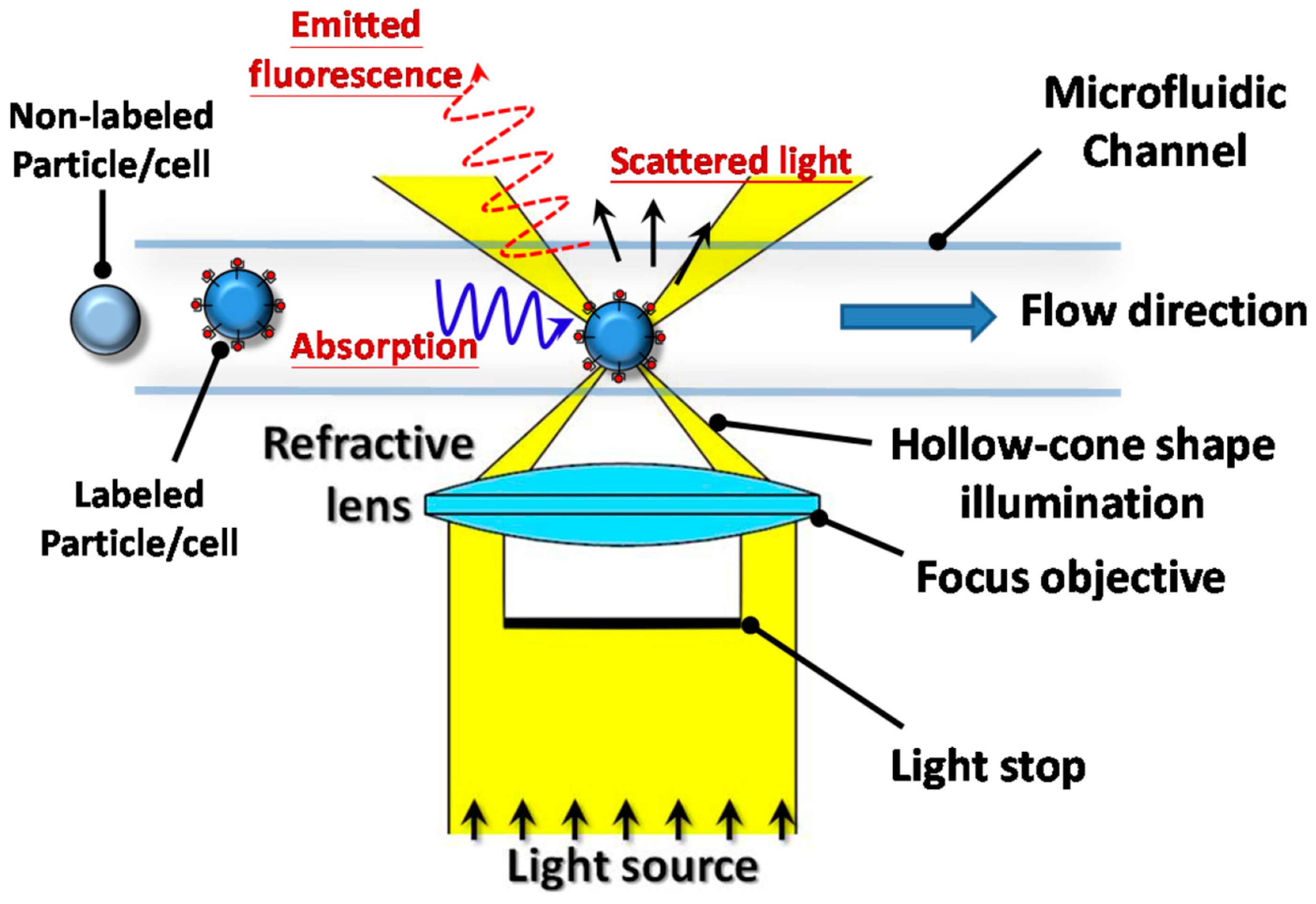 Cimb 46 00476 g002 Cimb 46 00476 g002