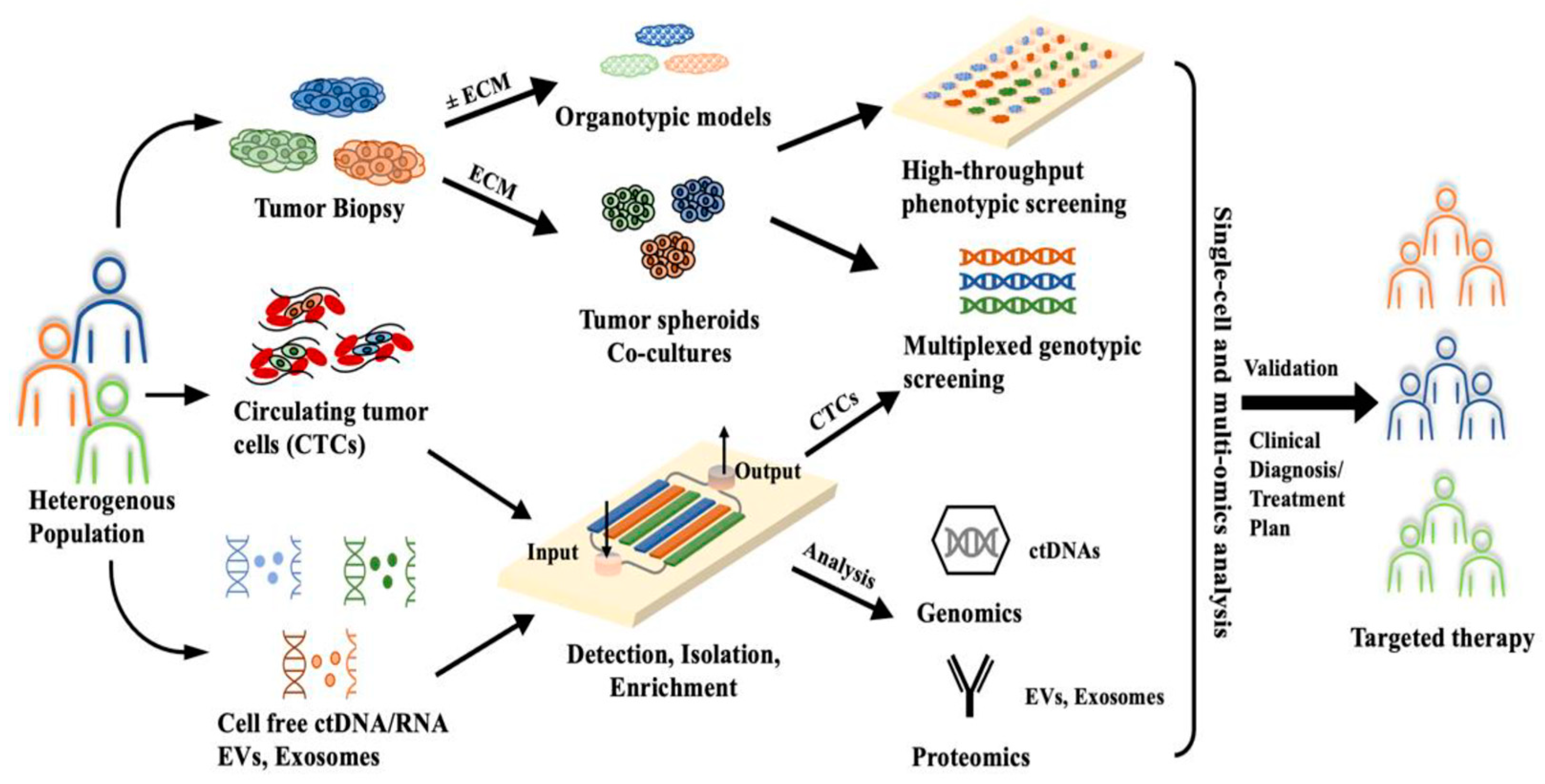Cimb 46 00476 g003 Cimb 46 00476 g003