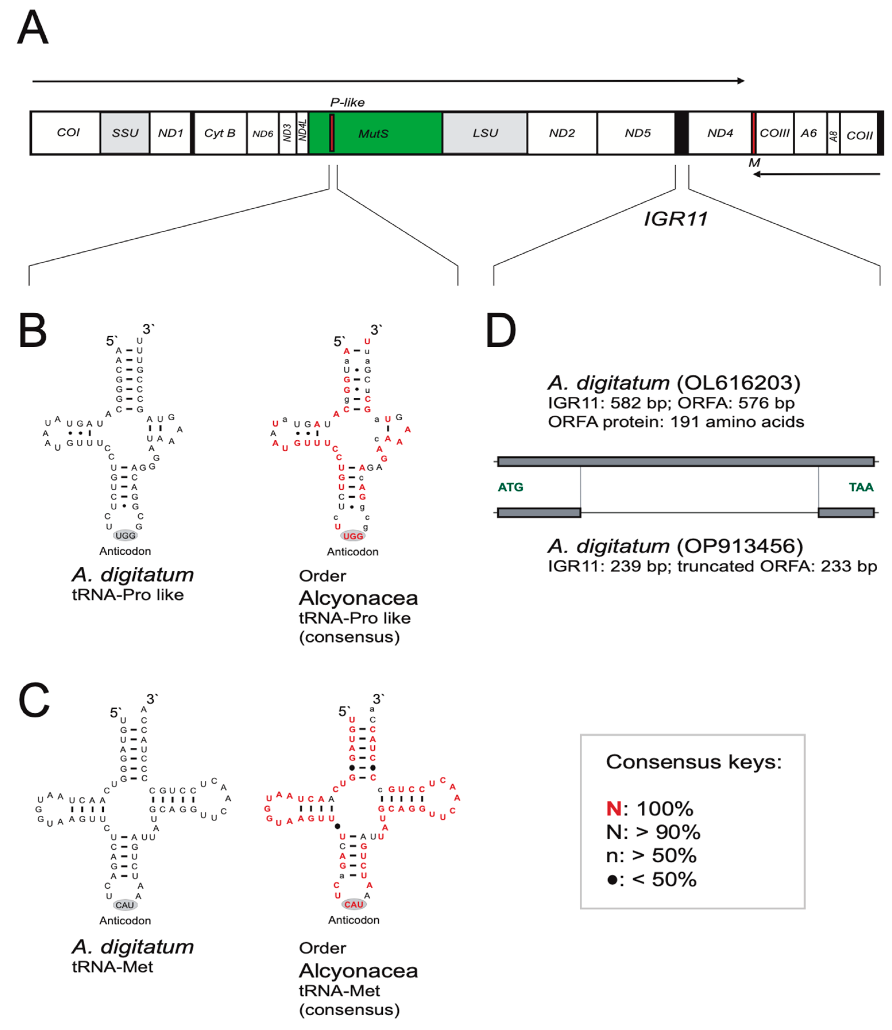 Cimb 46 00479 g001 Cimb 46 00479 g001