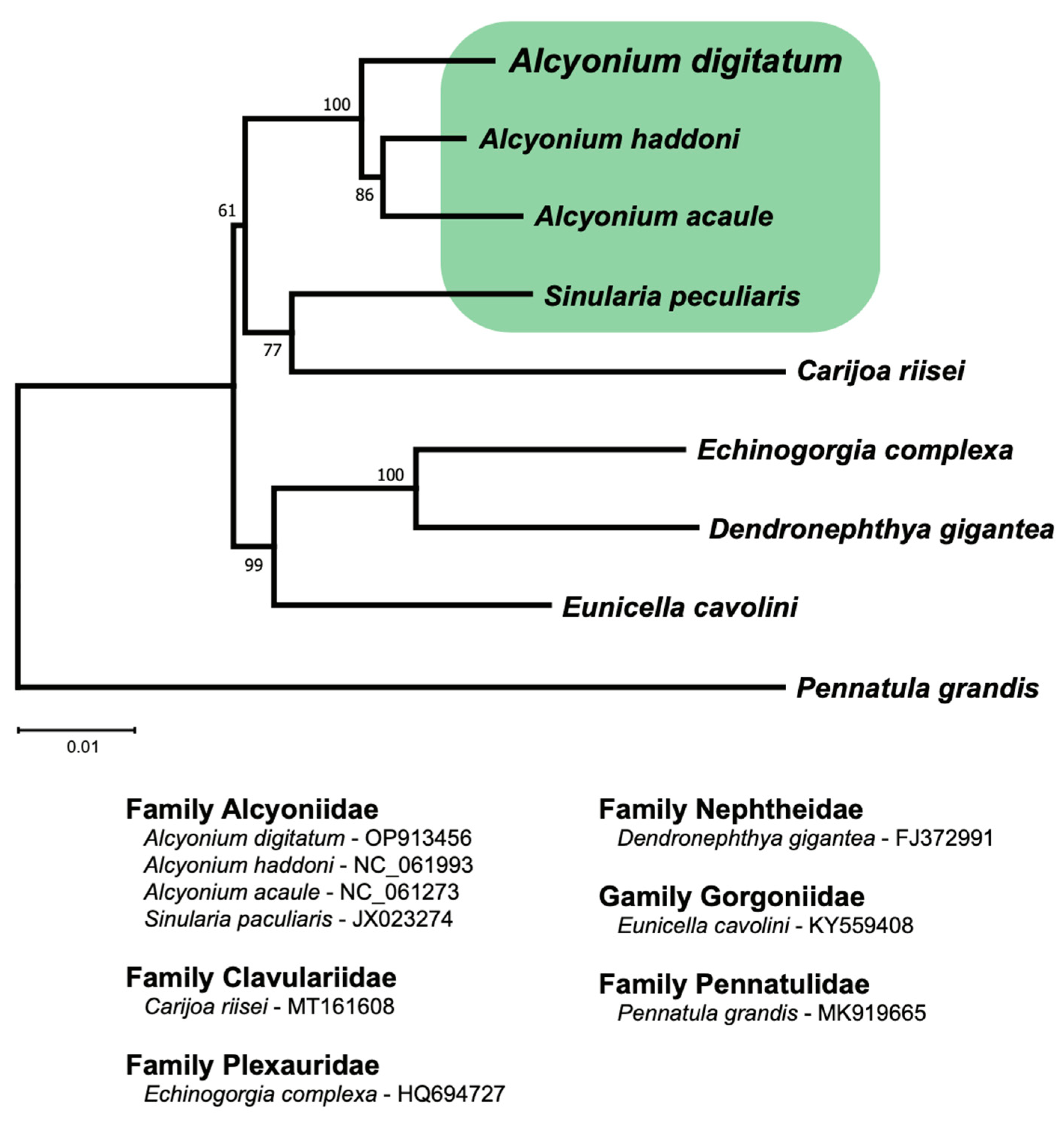 Cimb 46 00479 g002 Cimb 46 00479 g002
