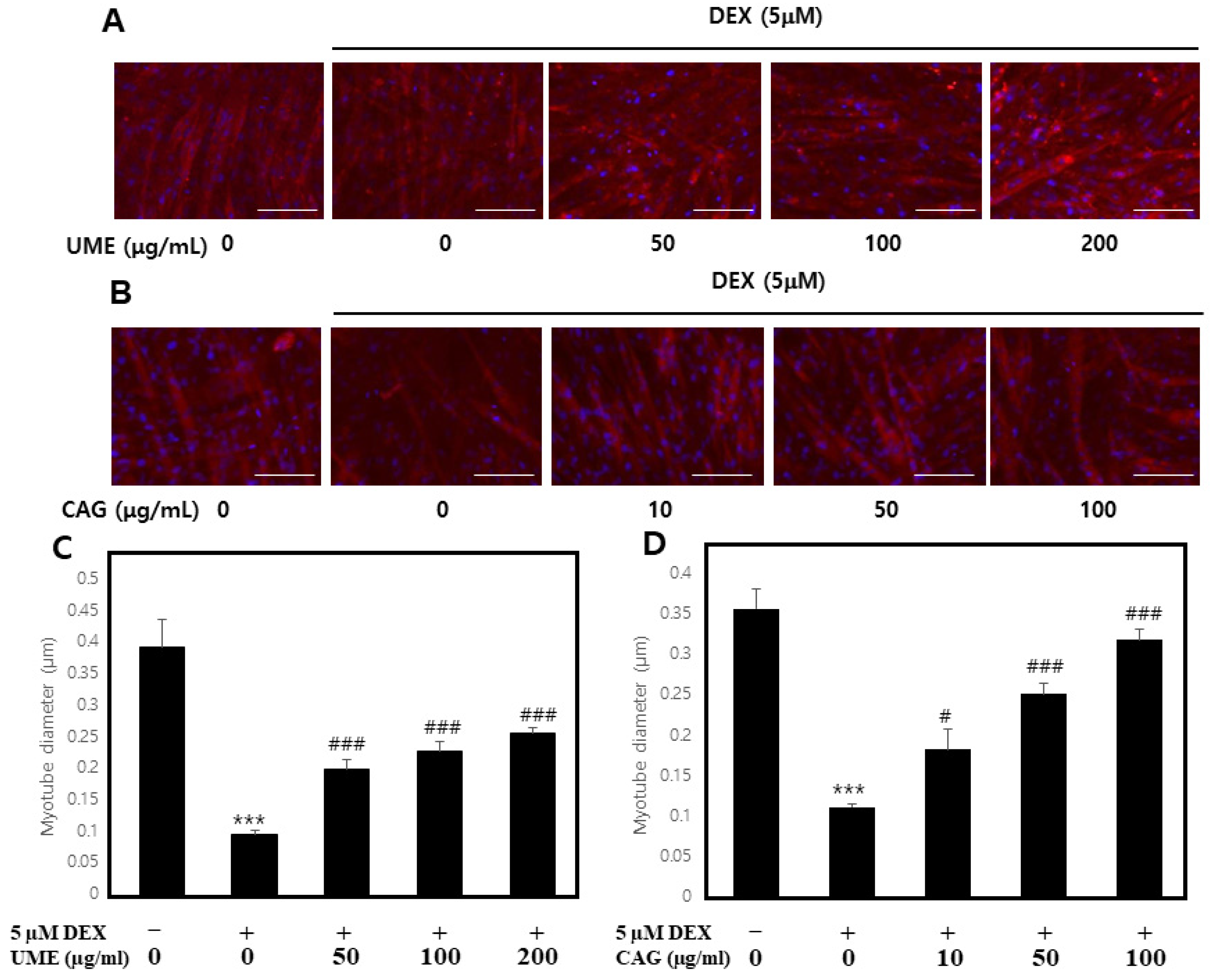 Cimb 46 00491 g009 Cimb 46 00491 g009