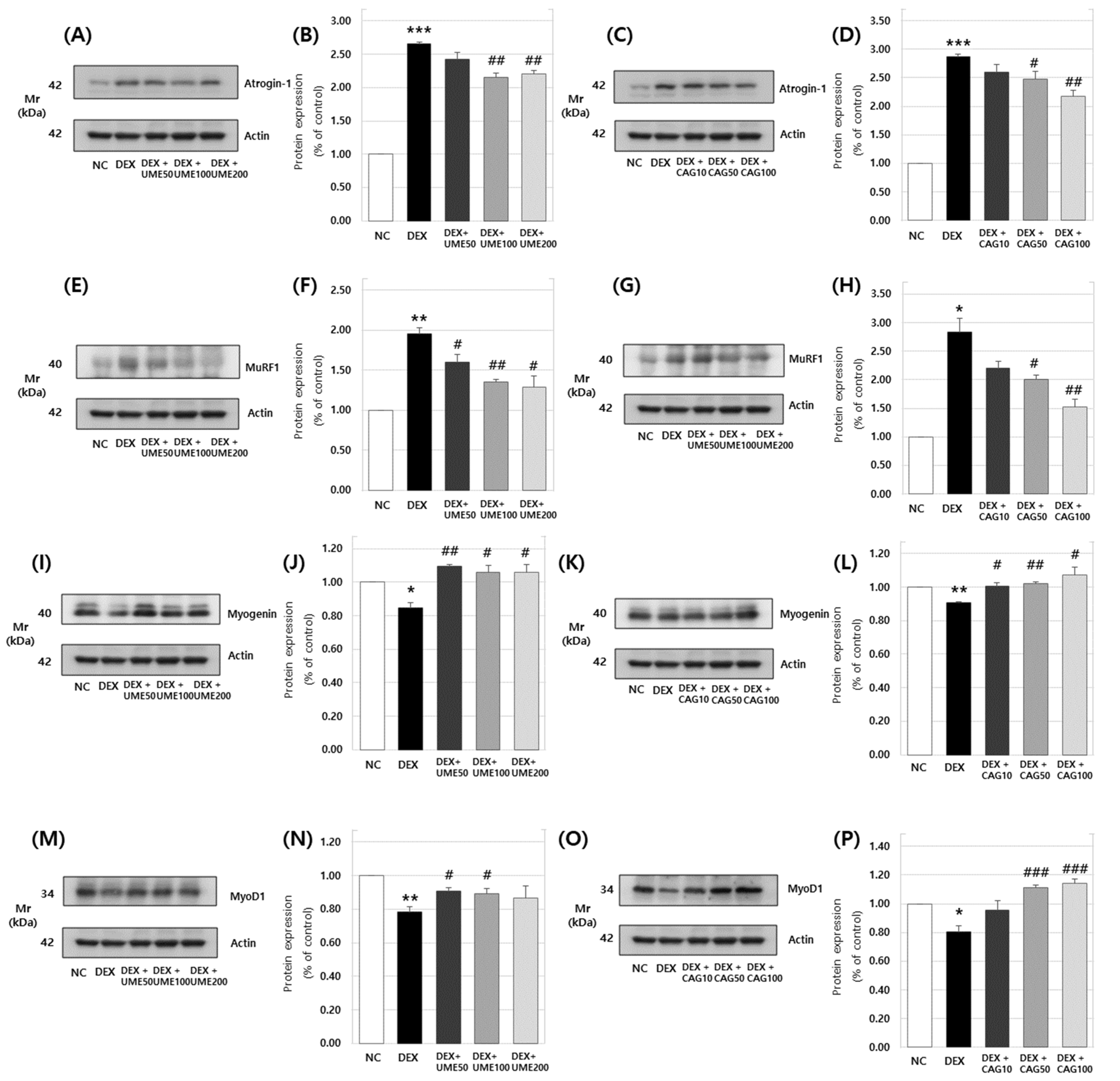 Cimb 46 00491 g010 Cimb 46 00491 g010