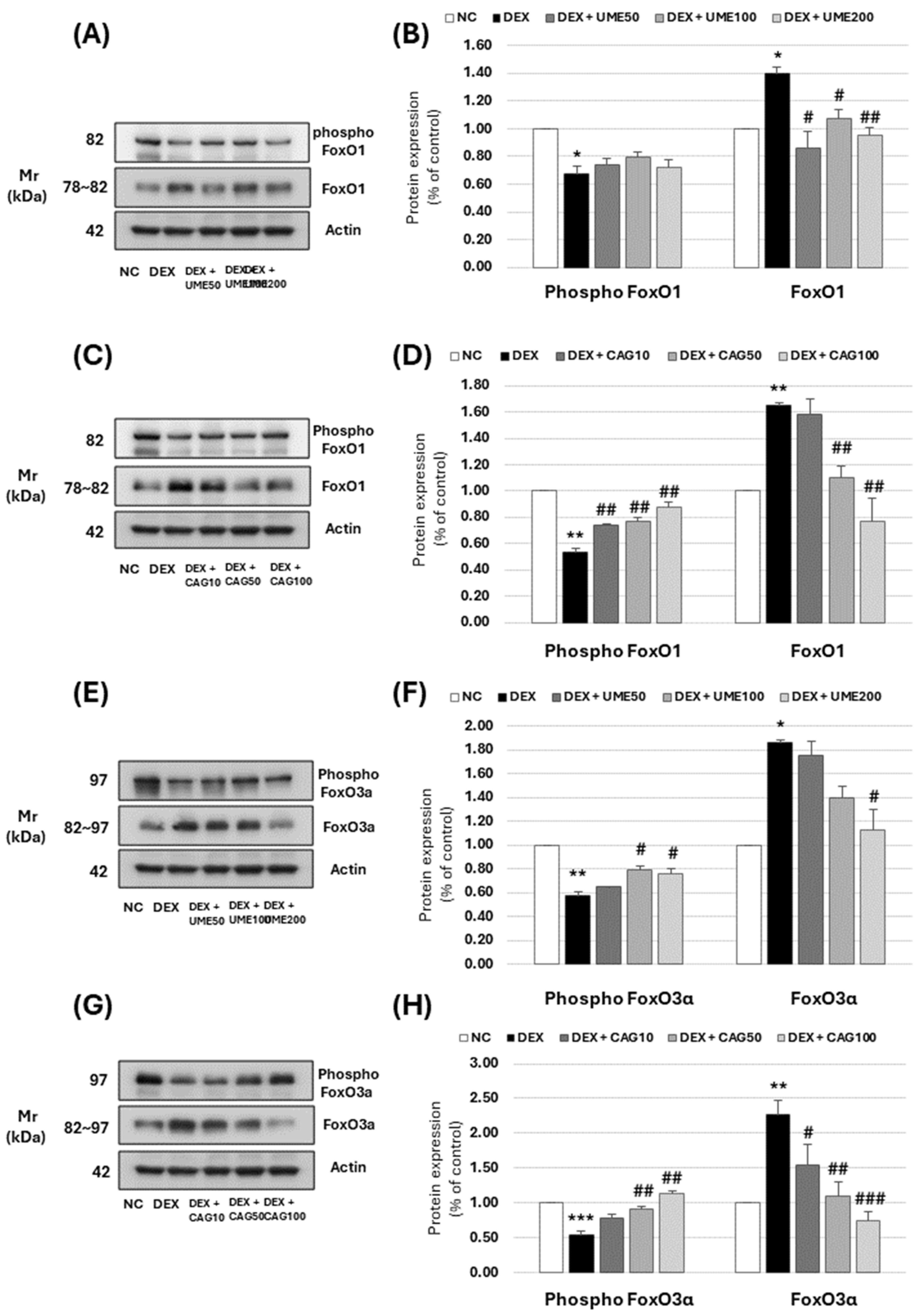 Cimb 46 00491 g012 Cimb 46 00491 g012