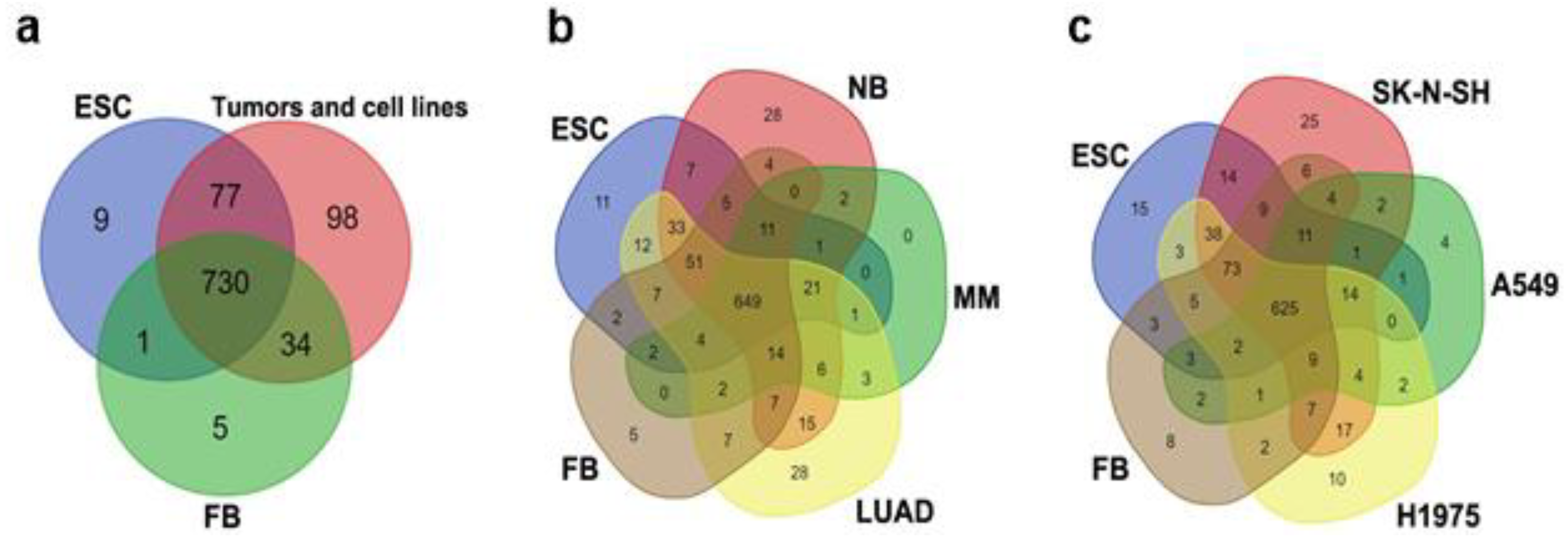 Cimb 46 00505 g002 Cimb 46 00505 g002