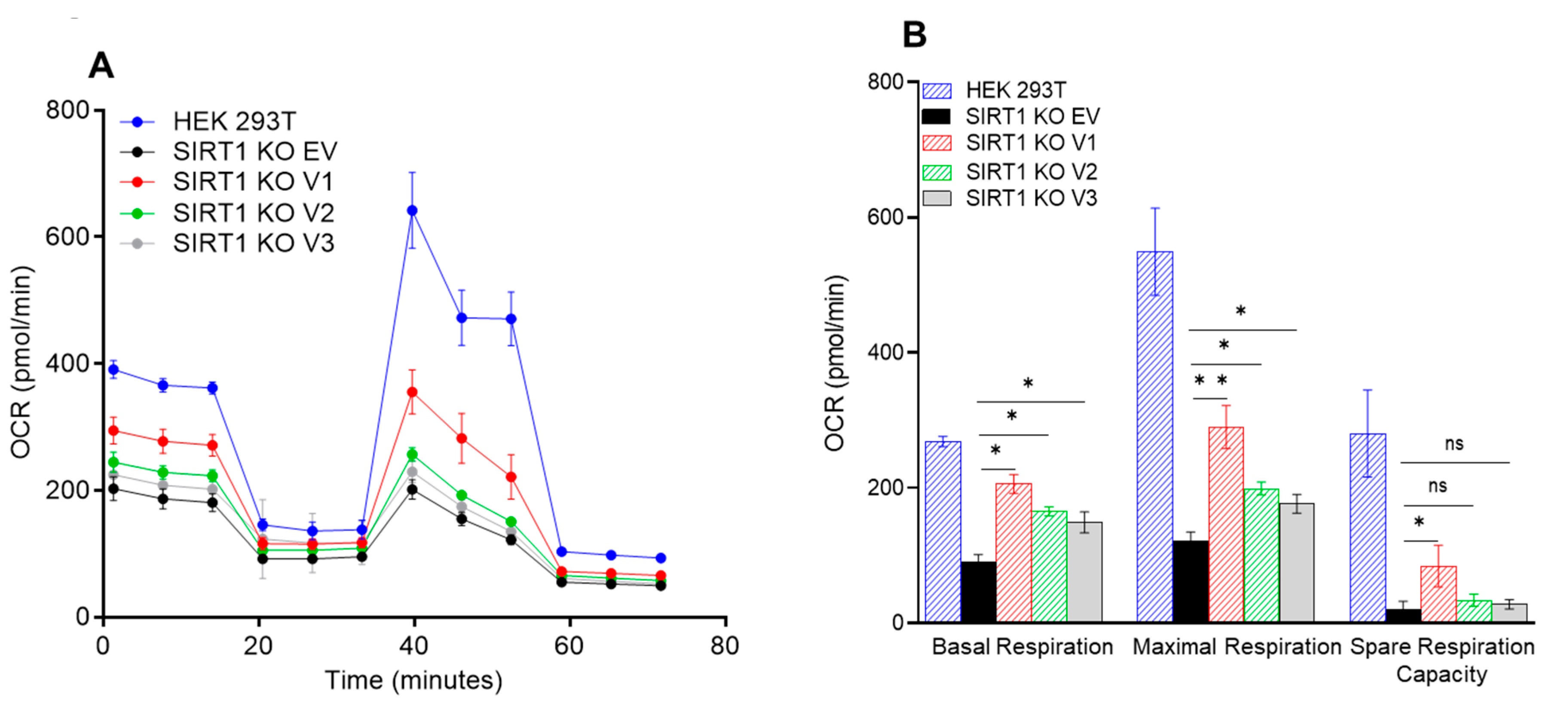 Cimb 46 00522 g007a Cimb 46 00522 g007a