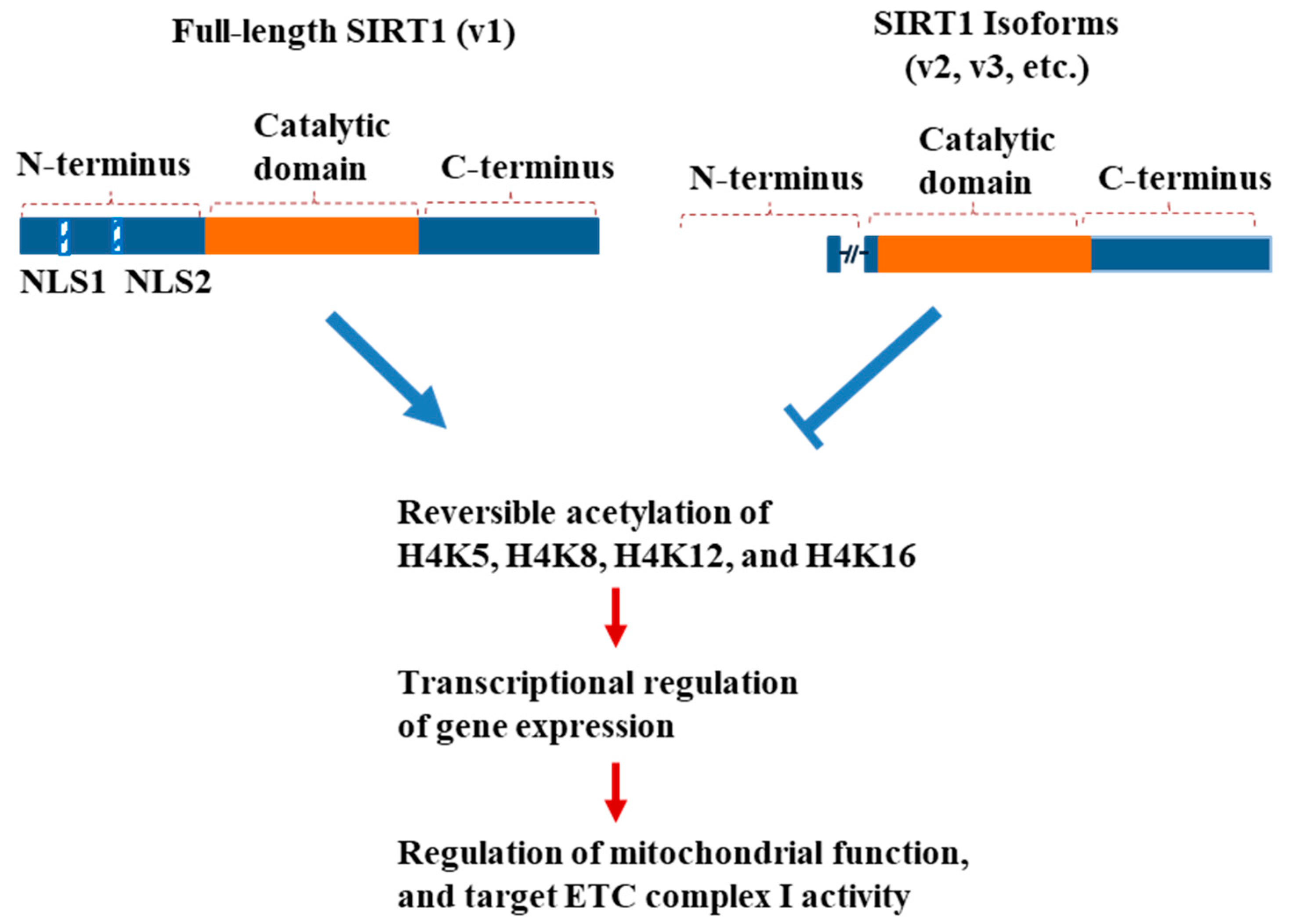 Cimb 46 00522 g008 Cimb 46 00522 g008